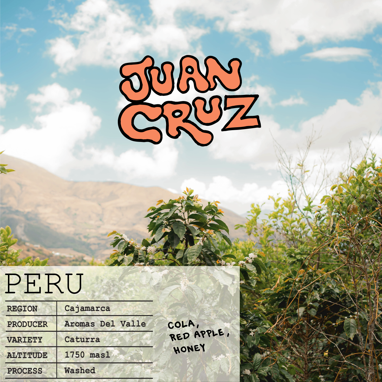 JUANCRUZWEB.png