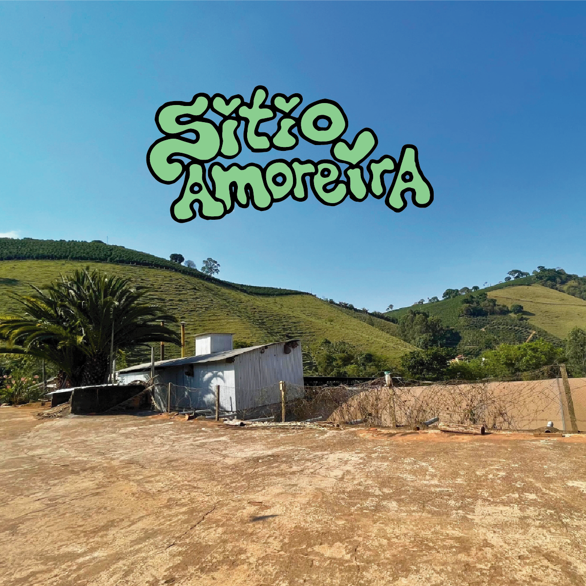 SITIOAMOREIRAWEBTITLE.png