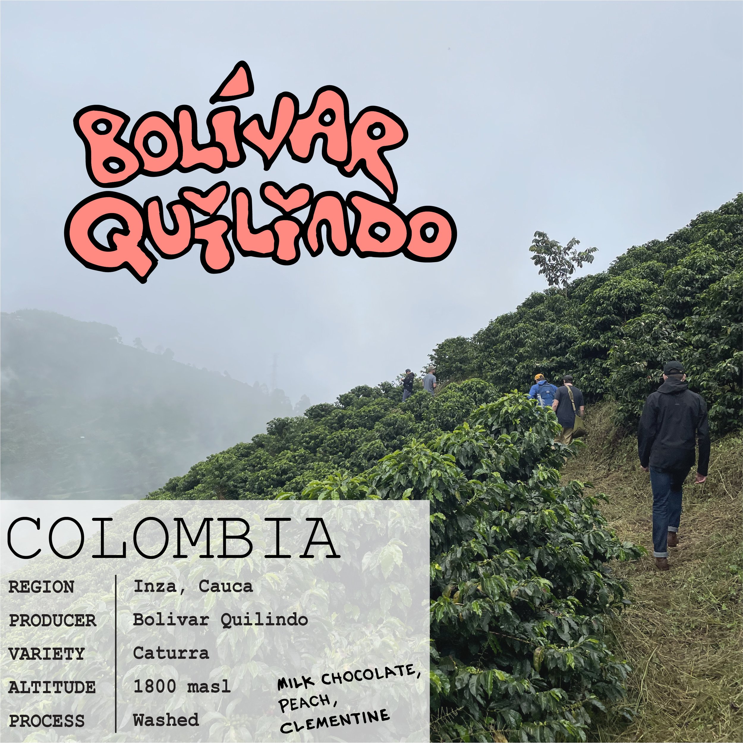 BOLIVARQUILINDOWEB.jpg