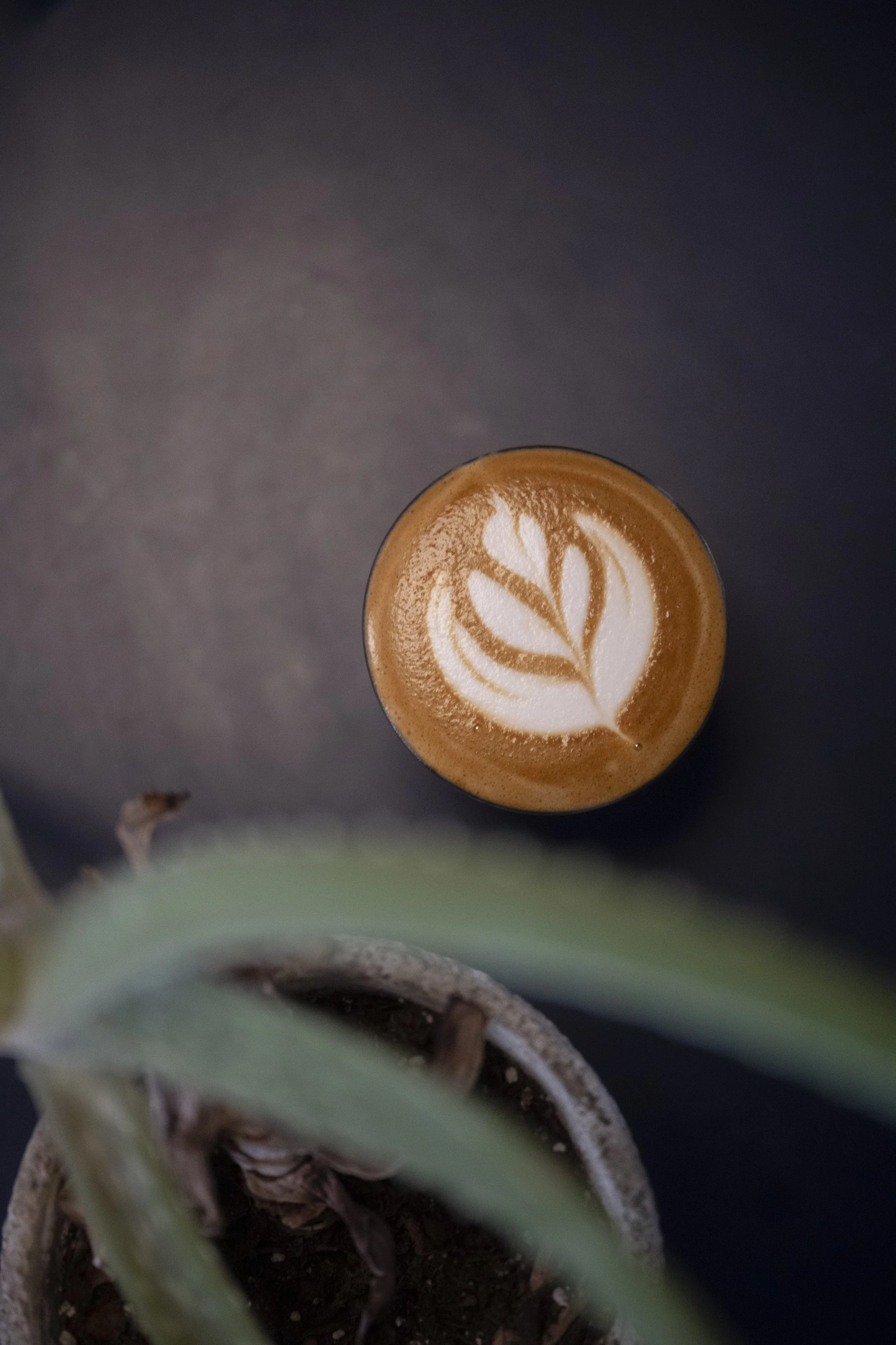 BIG_MOUTH_COFFEE-040824-24.jpg