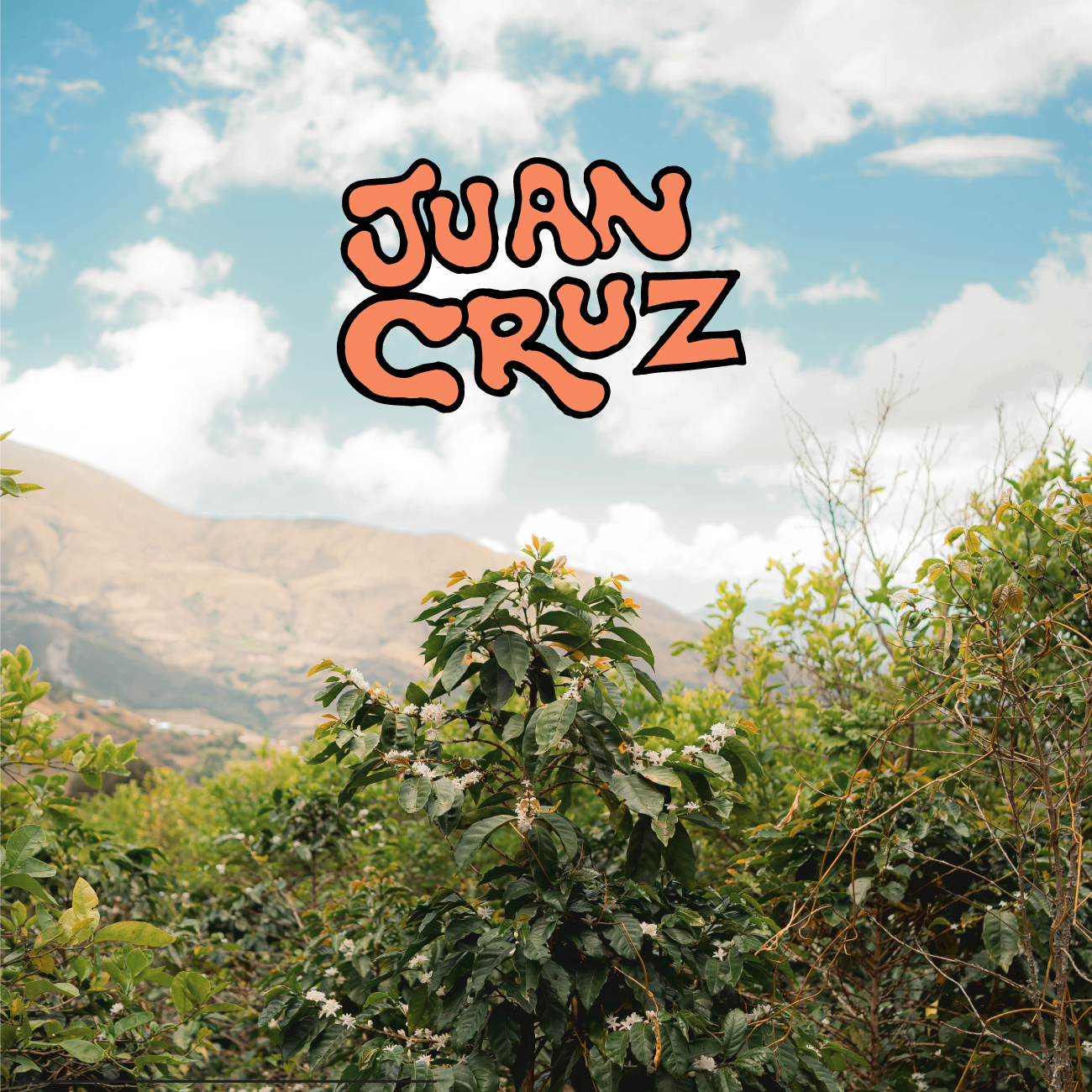 Juan Cruz - Aromas Del Valle - Peru