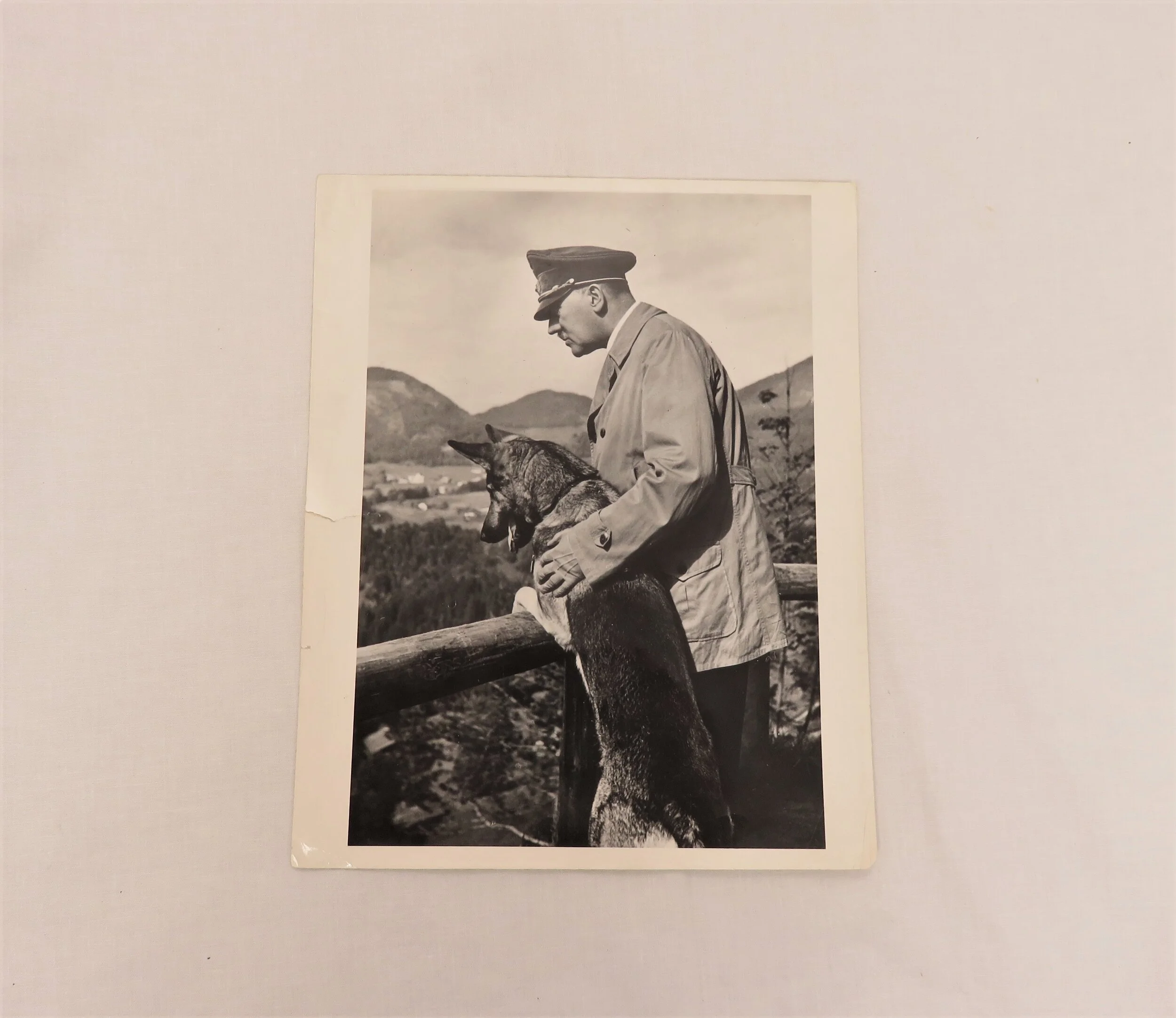 Germany.  Hitler with Blondi, US National Archives Photo