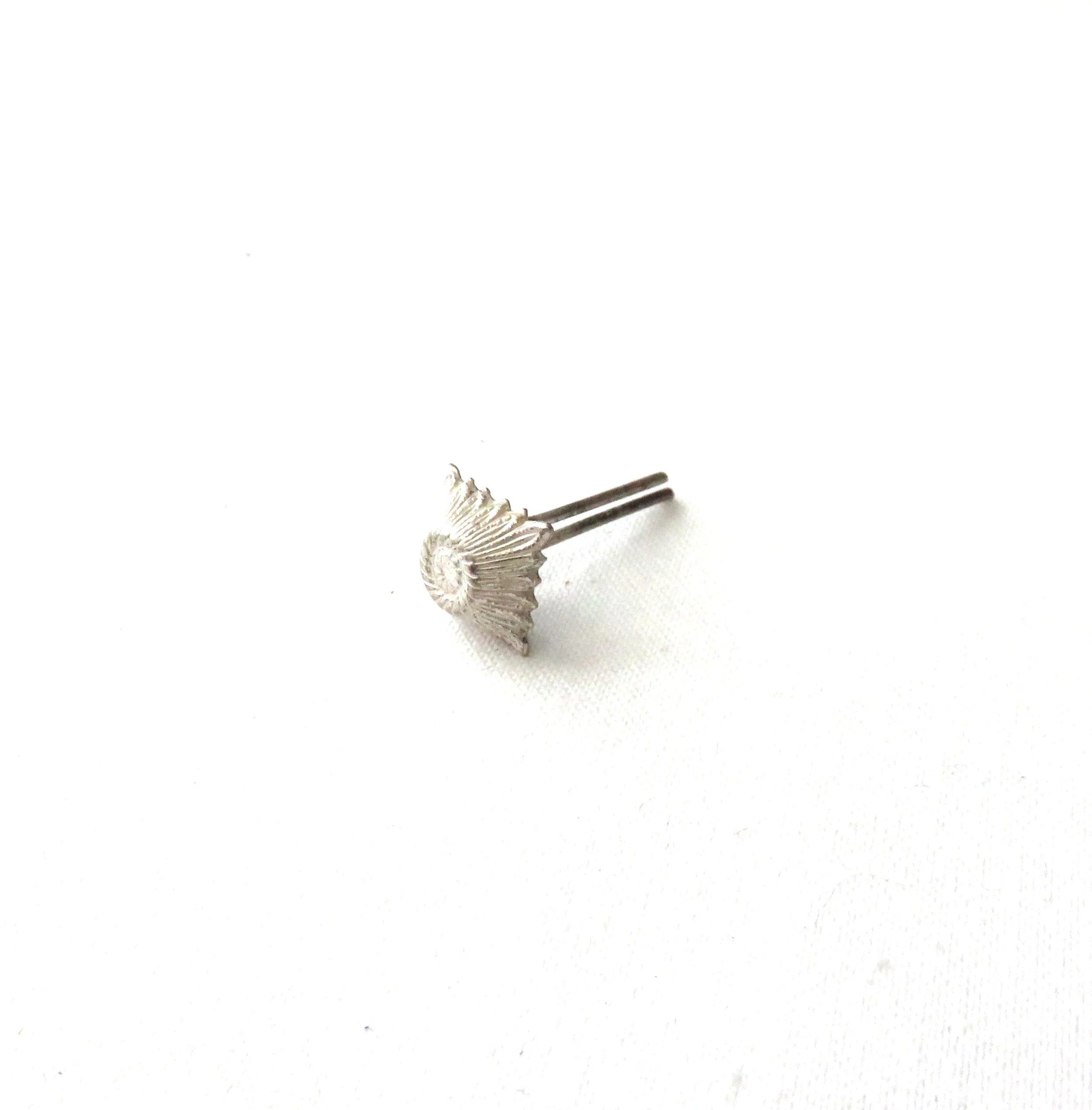 A12446-1.jpg