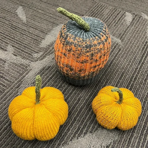 2022 Oct 29 - CSM Pumpkin with I-Cord Stem — CSM Love