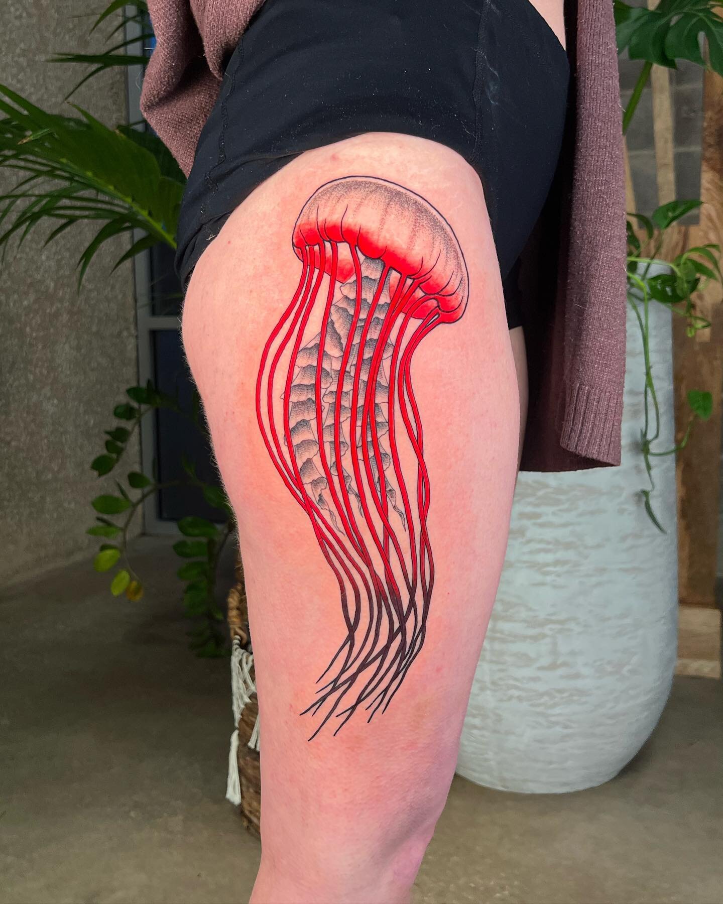 jellyfish
loved making this sea nettle jellyfish for athena. swipe to see it healed!
&bull;
#RayCorsonTattoo 
#DallasTattooArtist 
#TexasTattoos
#FemaleTattooer 
#Jellyfish 
#JellyfishTattoo