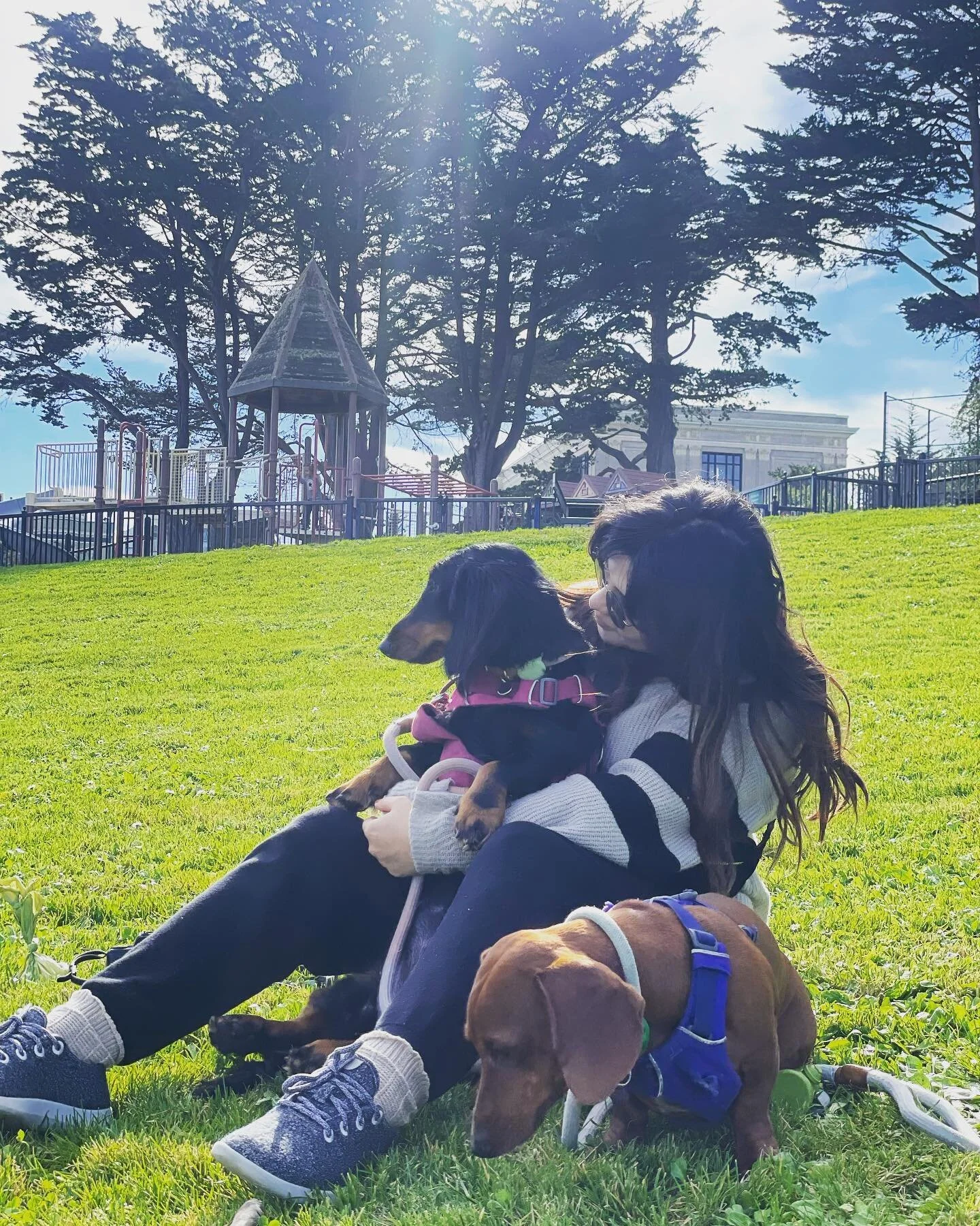 We have a full house #sanfrancisco