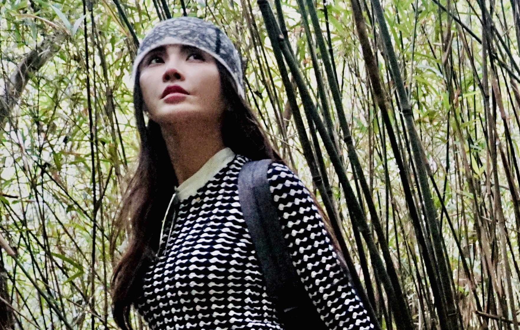 bamboo forest