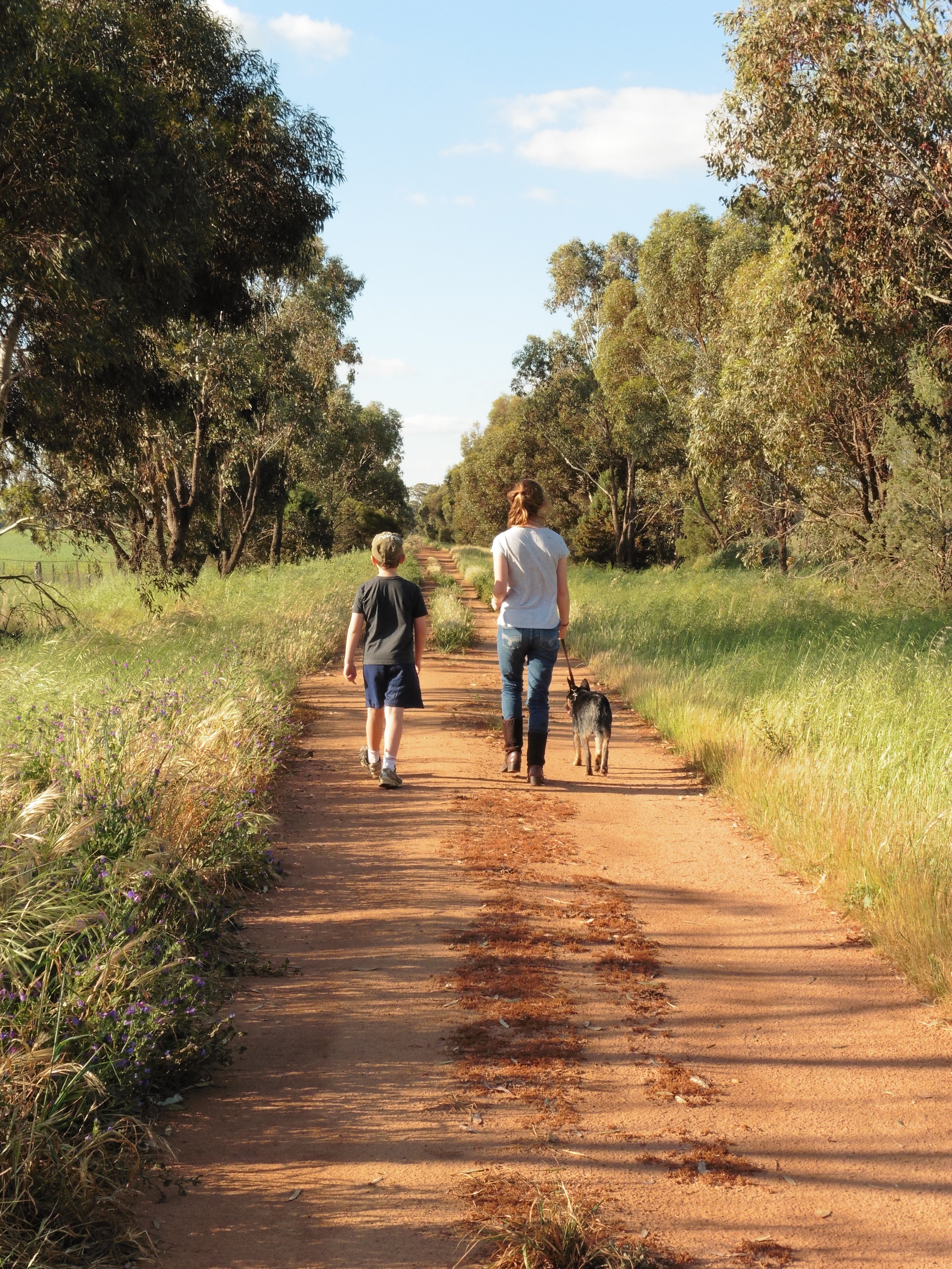 P1010046 Landcare Lane.JPG