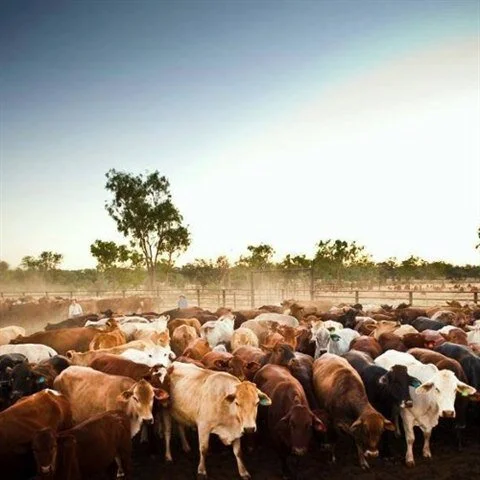 farming-image-gen.jpg
