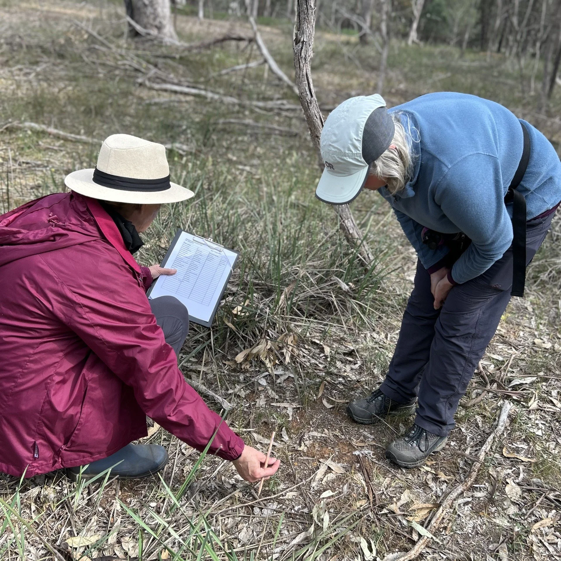 Kerri Jan monitoring plants.jpg