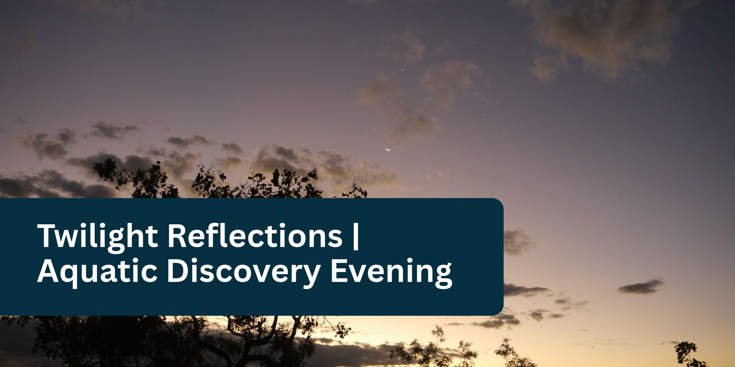 Twilight Reflections - Aquatic Discovery Evening