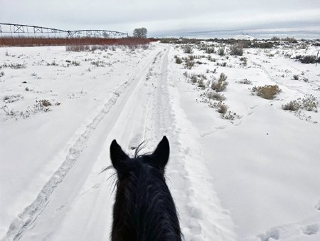 Winter Horse Ride