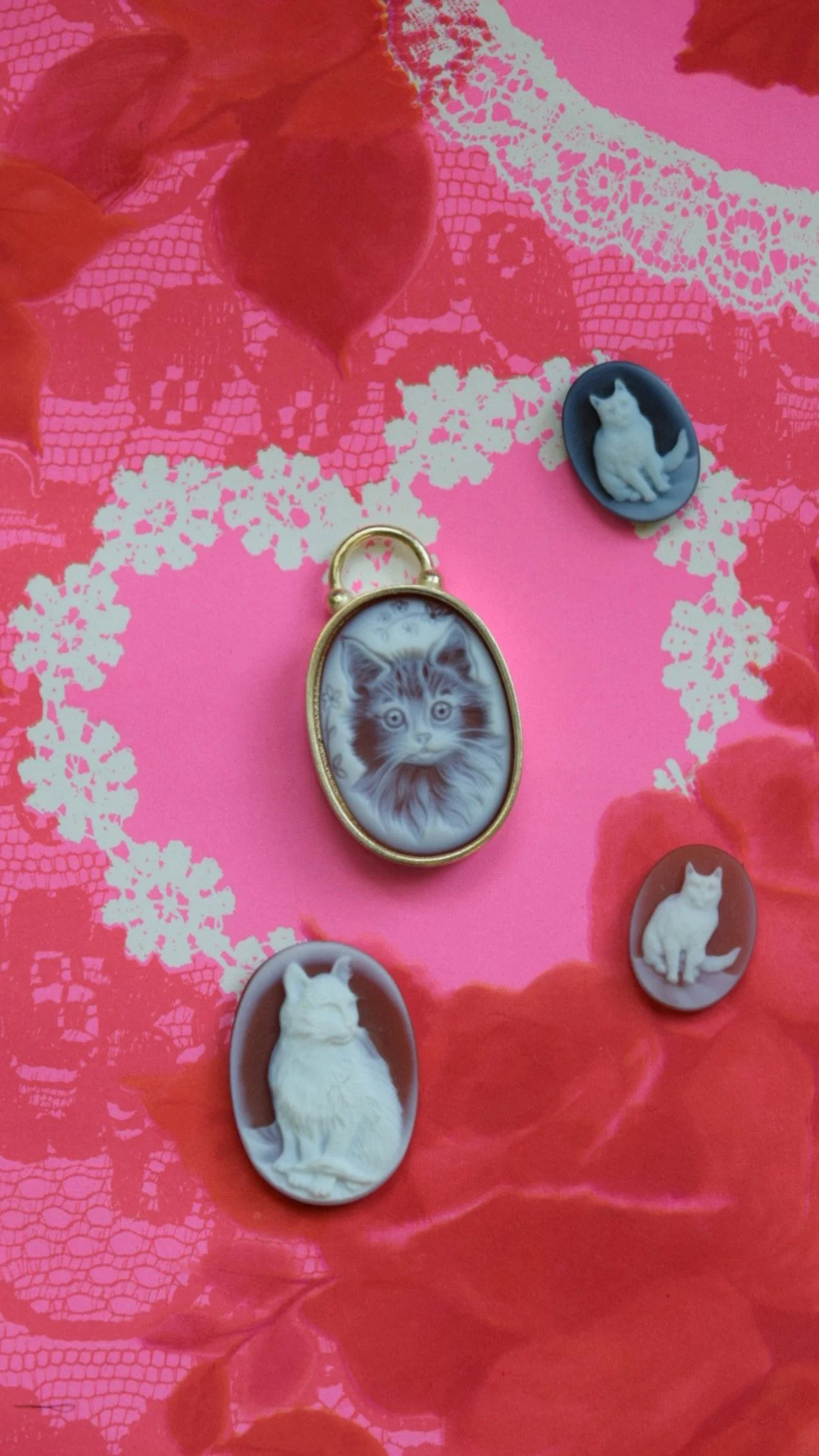 7AC20E6D-C907-4C33-949A-14004E372E53 2.JPG