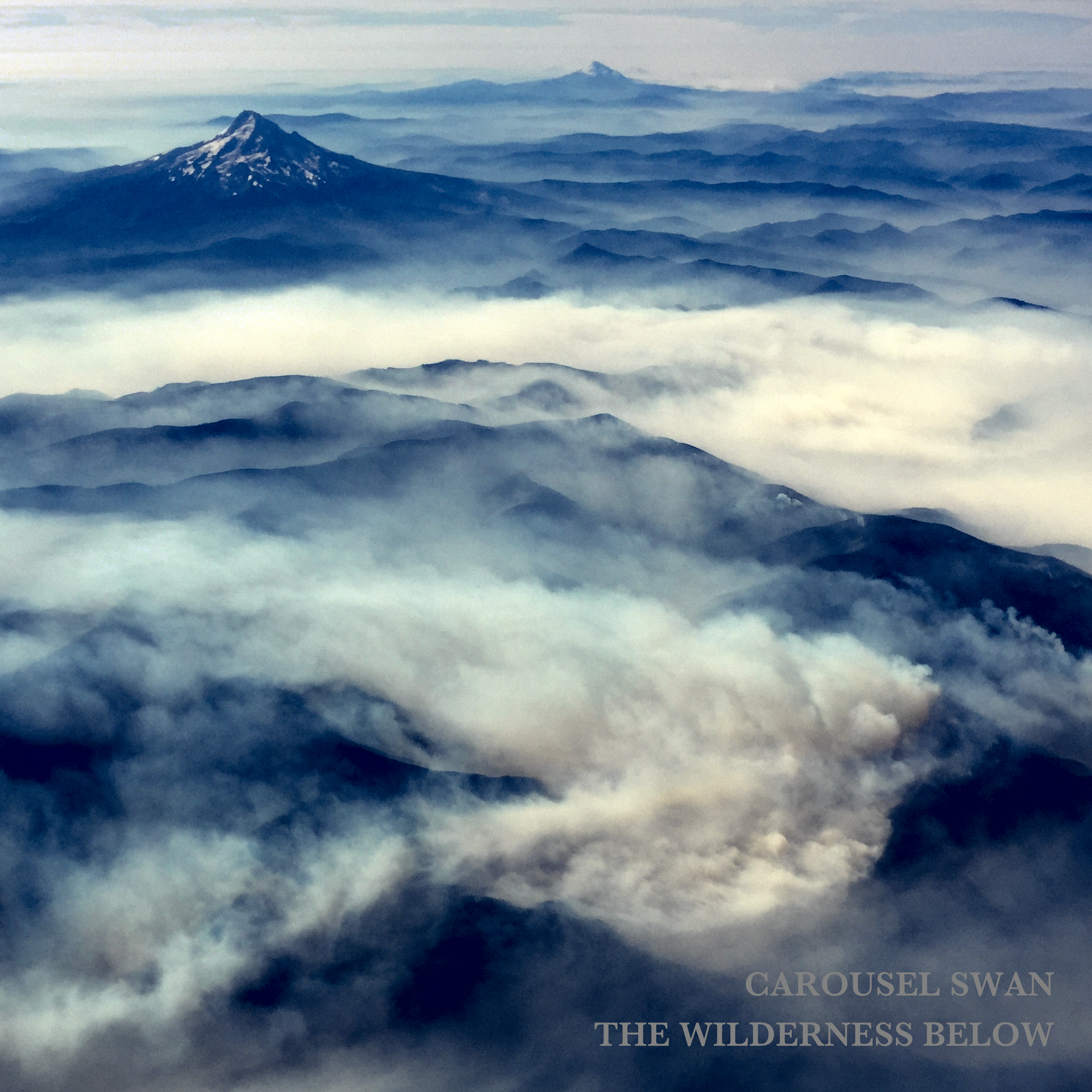 Carousel Swan - The Wilderness Below (Cover Art).png