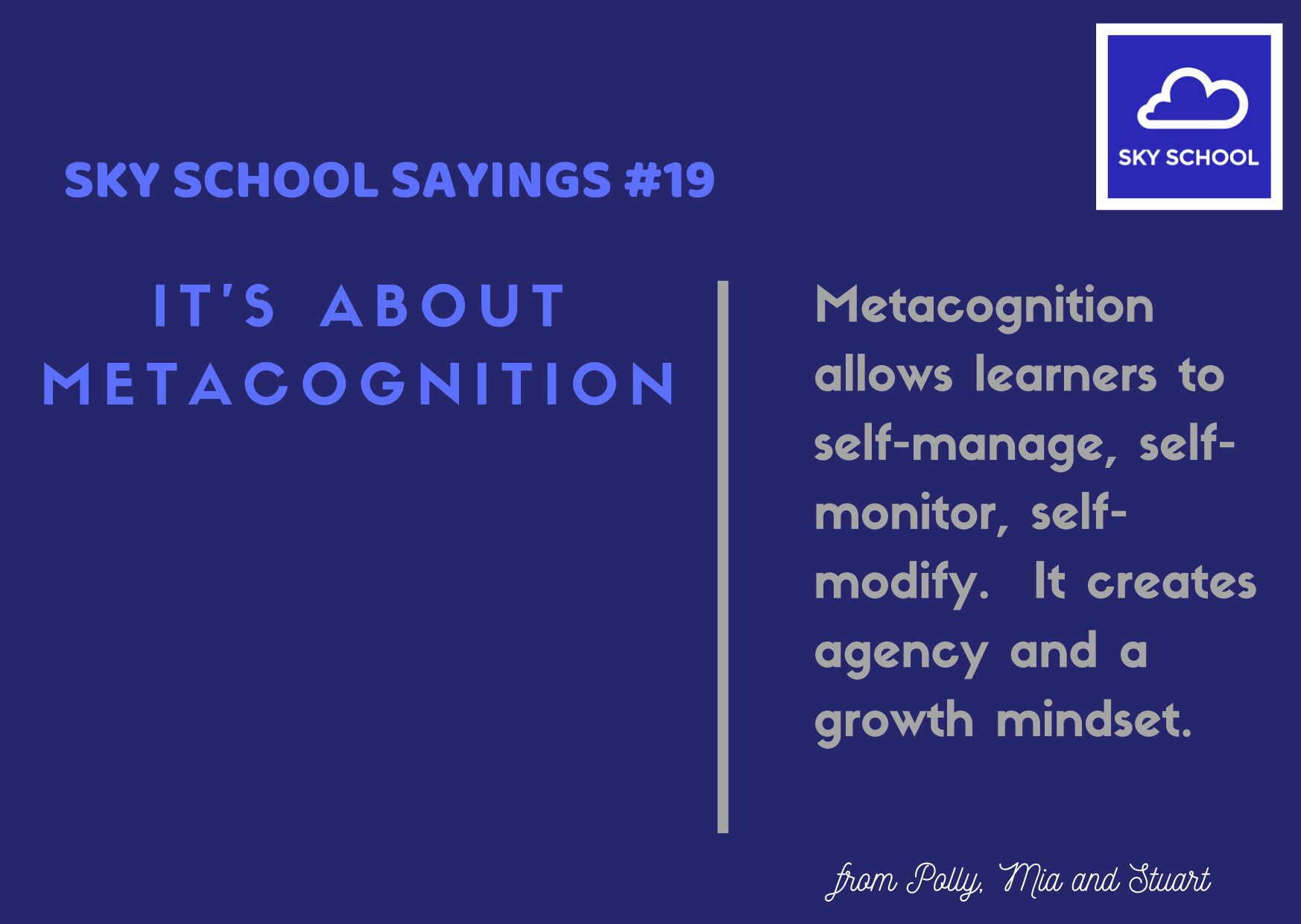 19. It's about metacognition.jpg