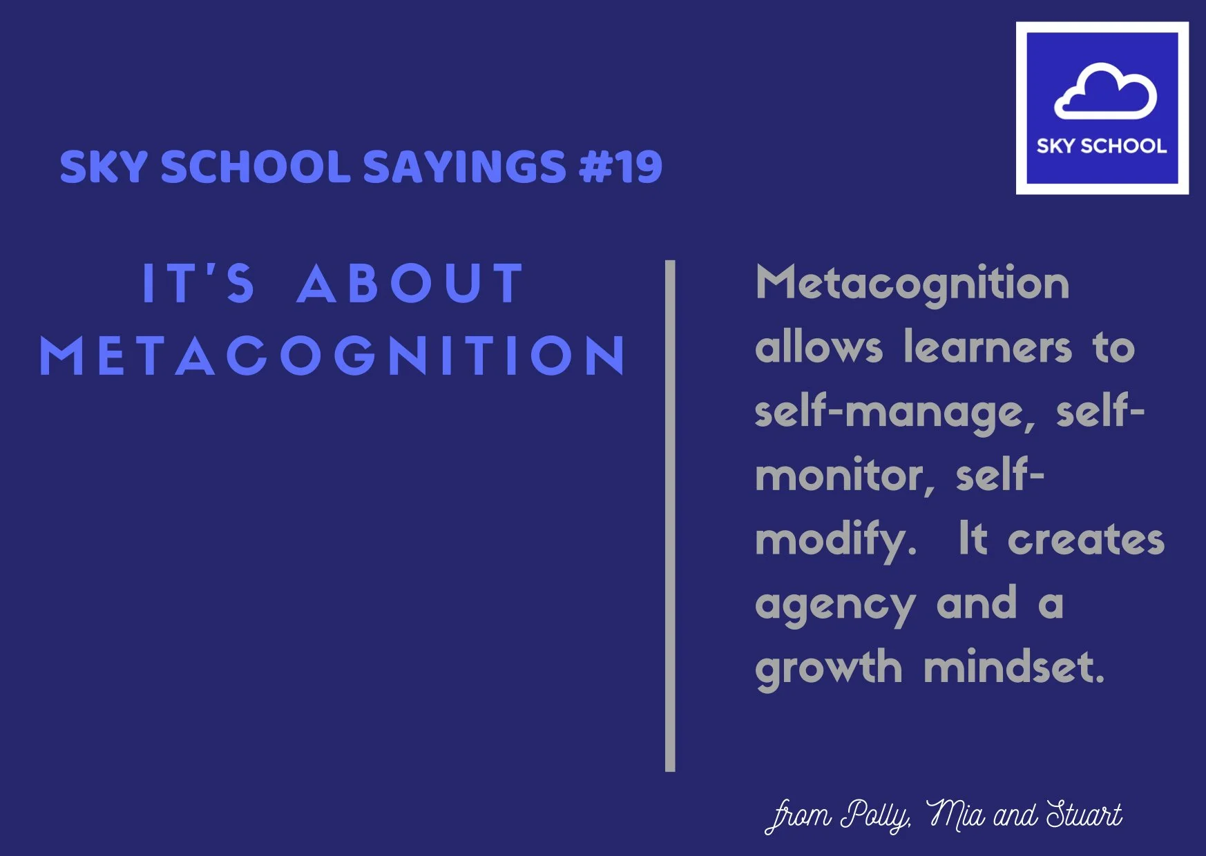 19. It's about metacognition.jpg