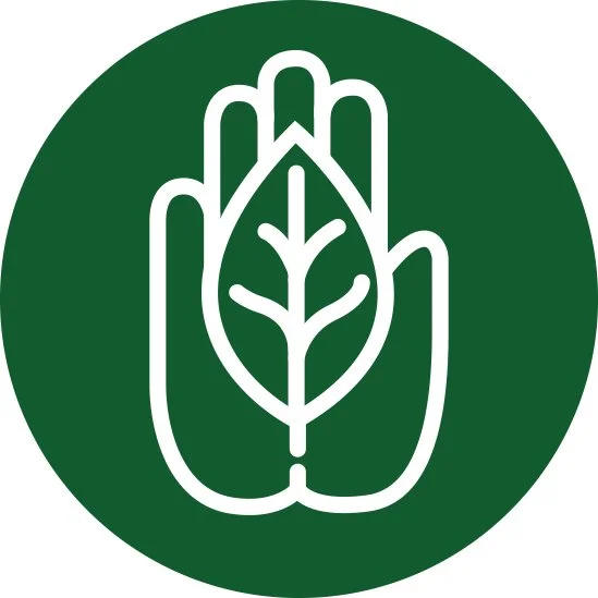 GSNZ_Sustainability_D.jpg