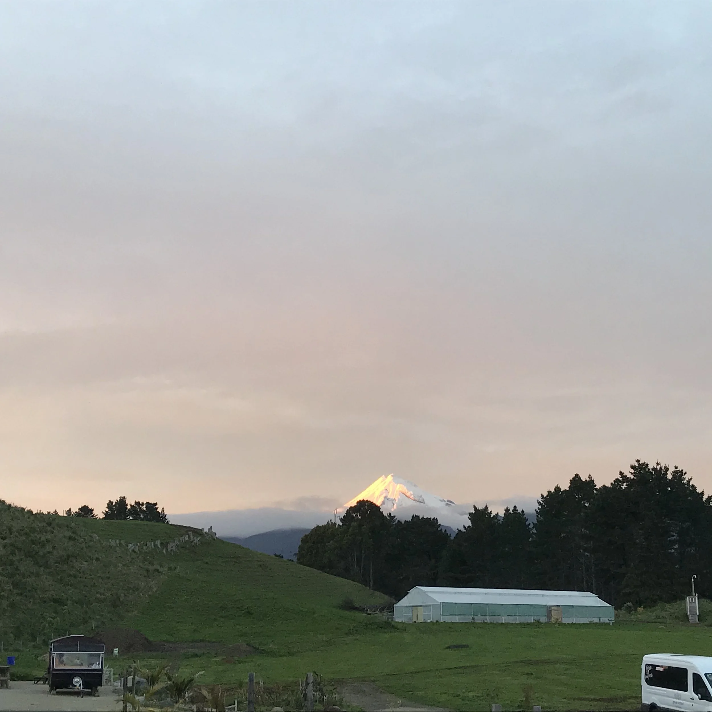IMG_1064.jpeg