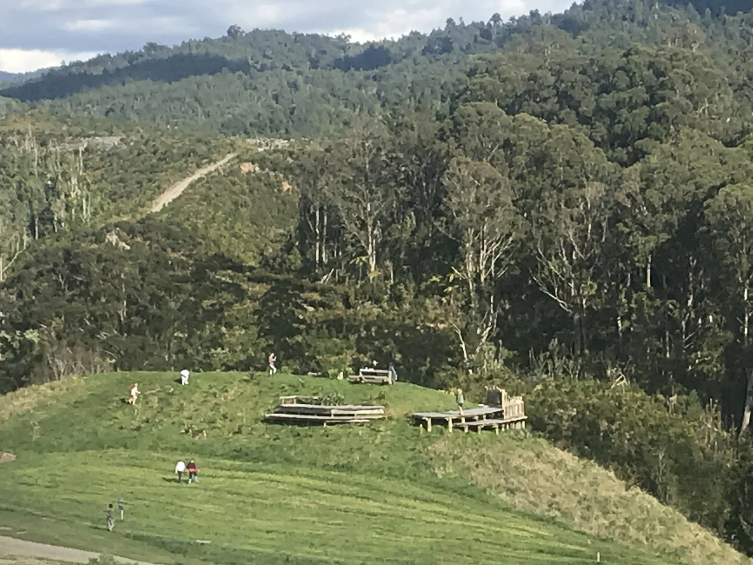 IMG_1067.jpeg