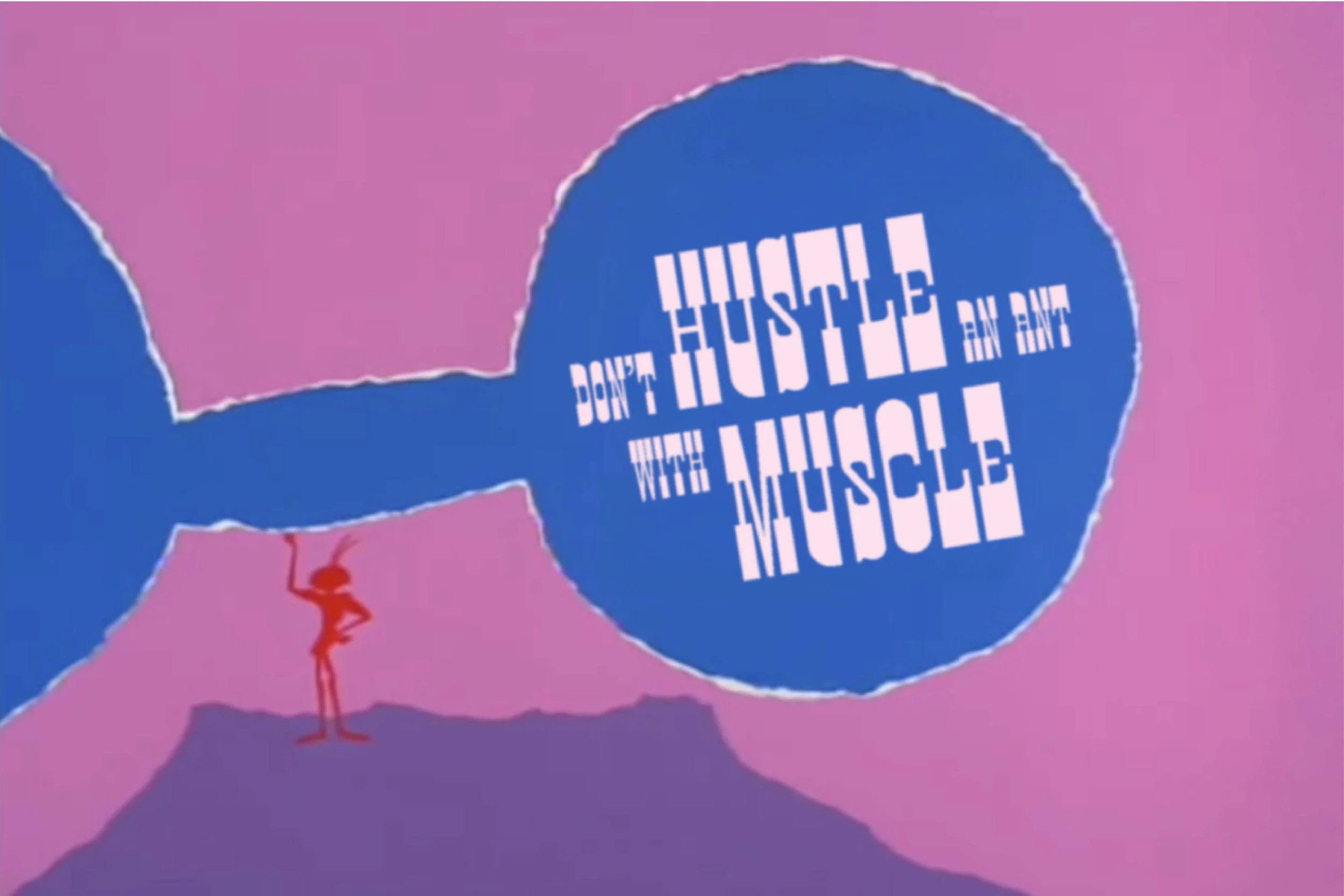 Aardvark Specimen-04.jpg