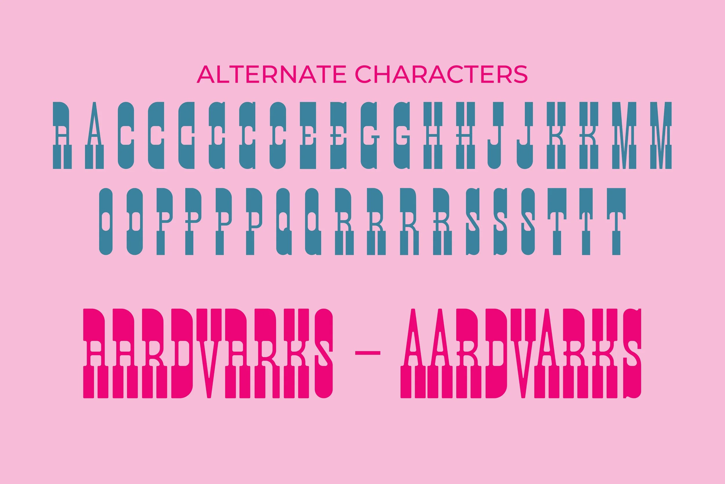 Aardvark Specimen-07.jpg