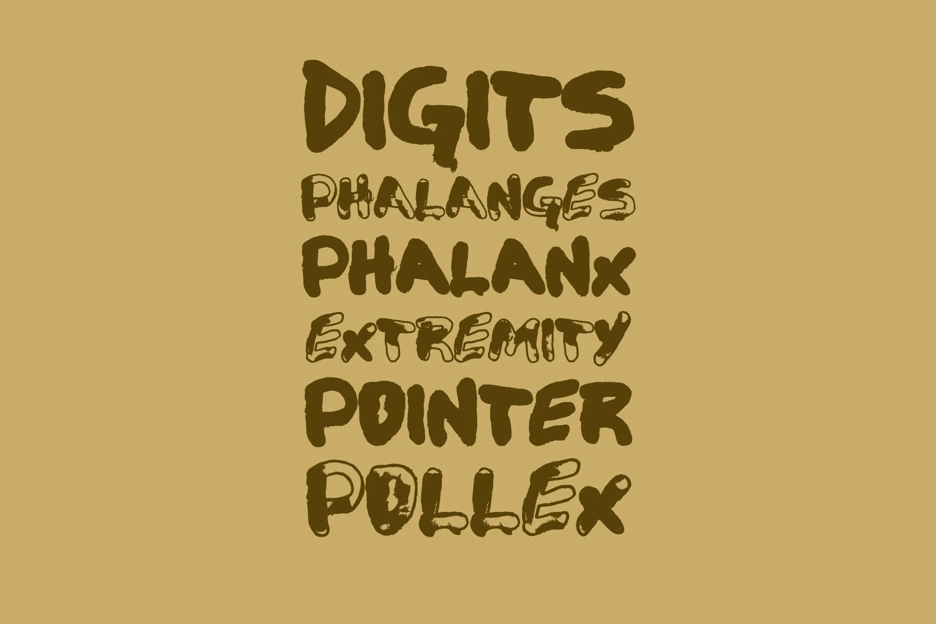 Finger Specimen-04.jpg