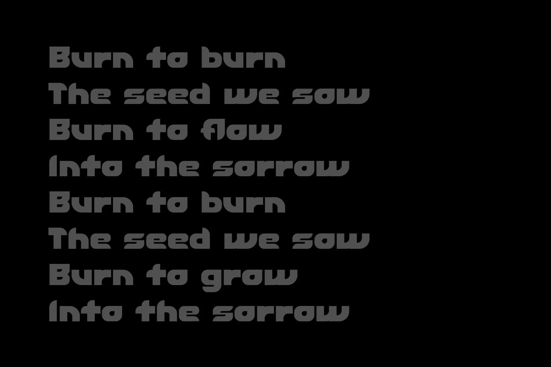 Ignite Specimen-04.jpg