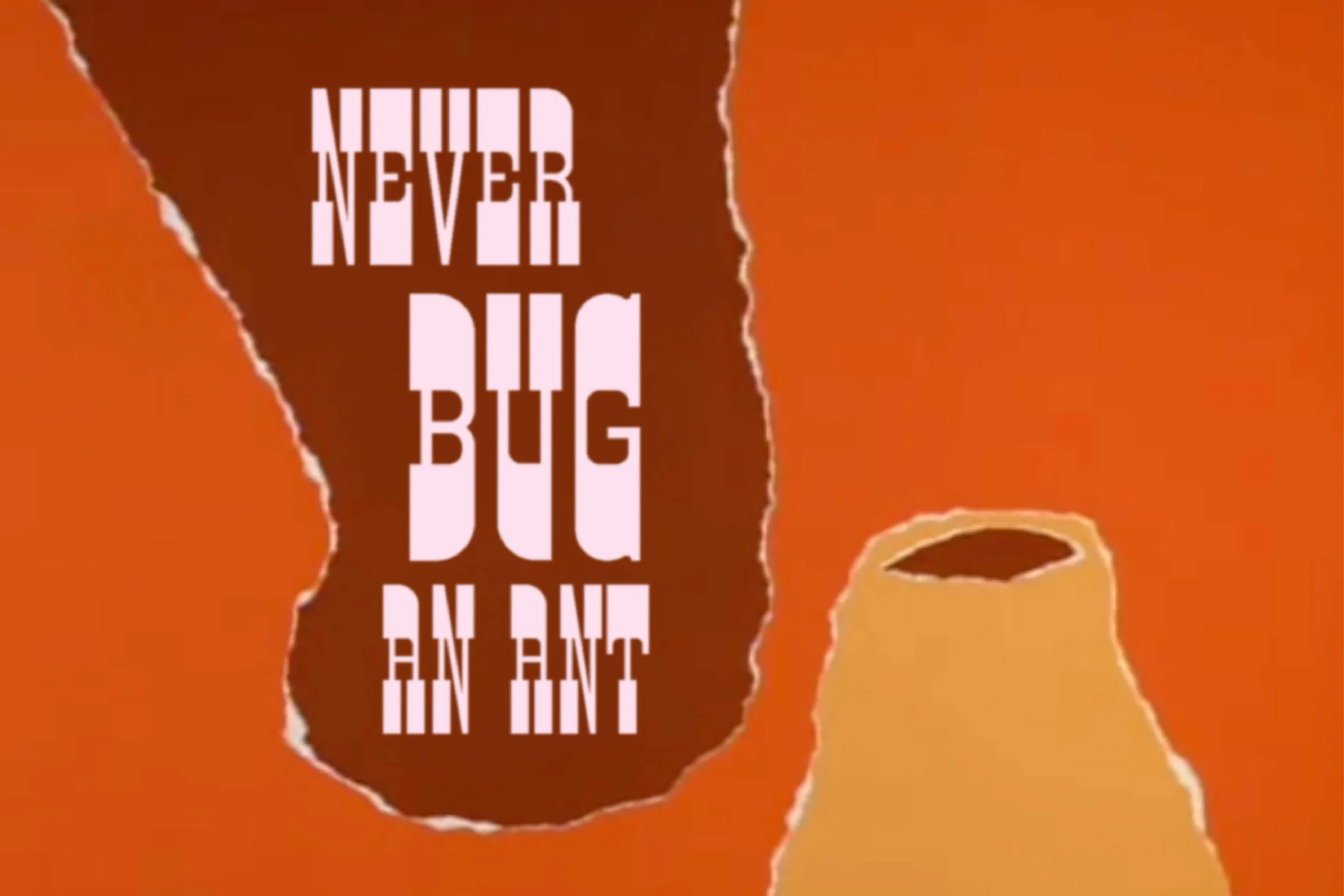 Aardvark Specimen-02.jpg