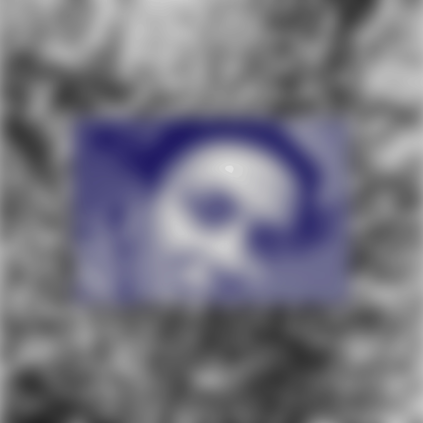 Untitled design(15).png