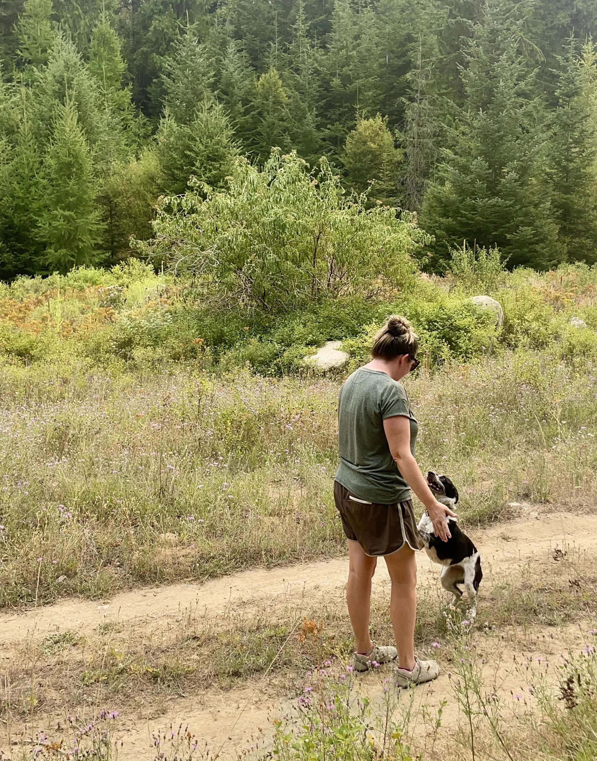 A woman in athletic clothing standing on a trail with a black and white dog jumping on her.  They are near a dirt path with tall evergreen trees in the background.