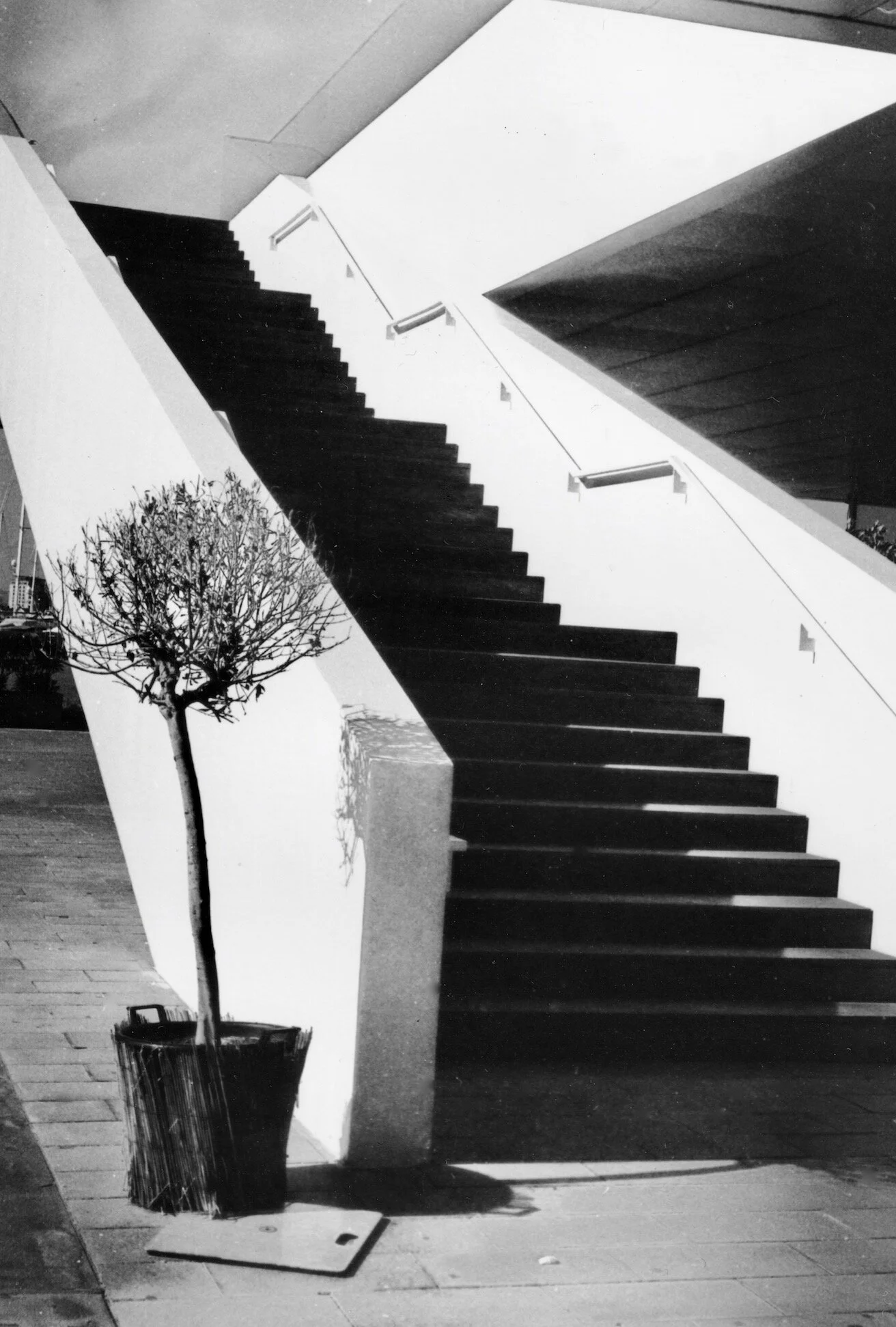 Valencia Port Steps 2.jpeg