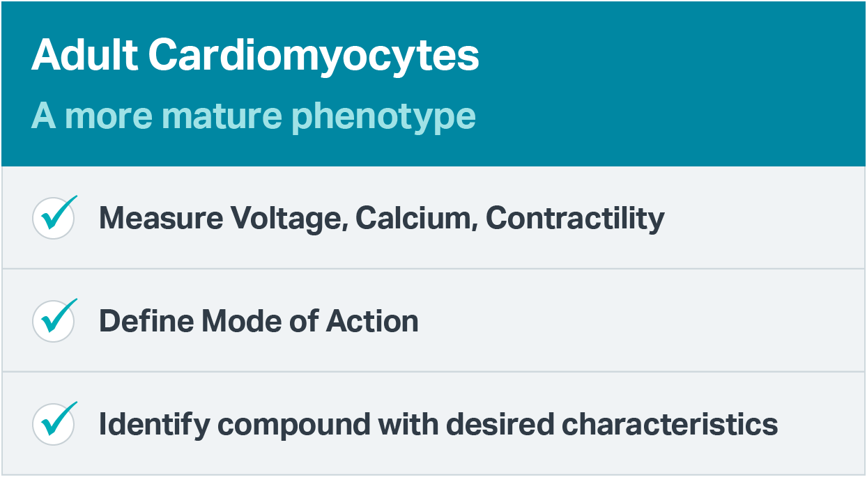 CellOPTIQ Assay features – Adult Cardiomyocytes