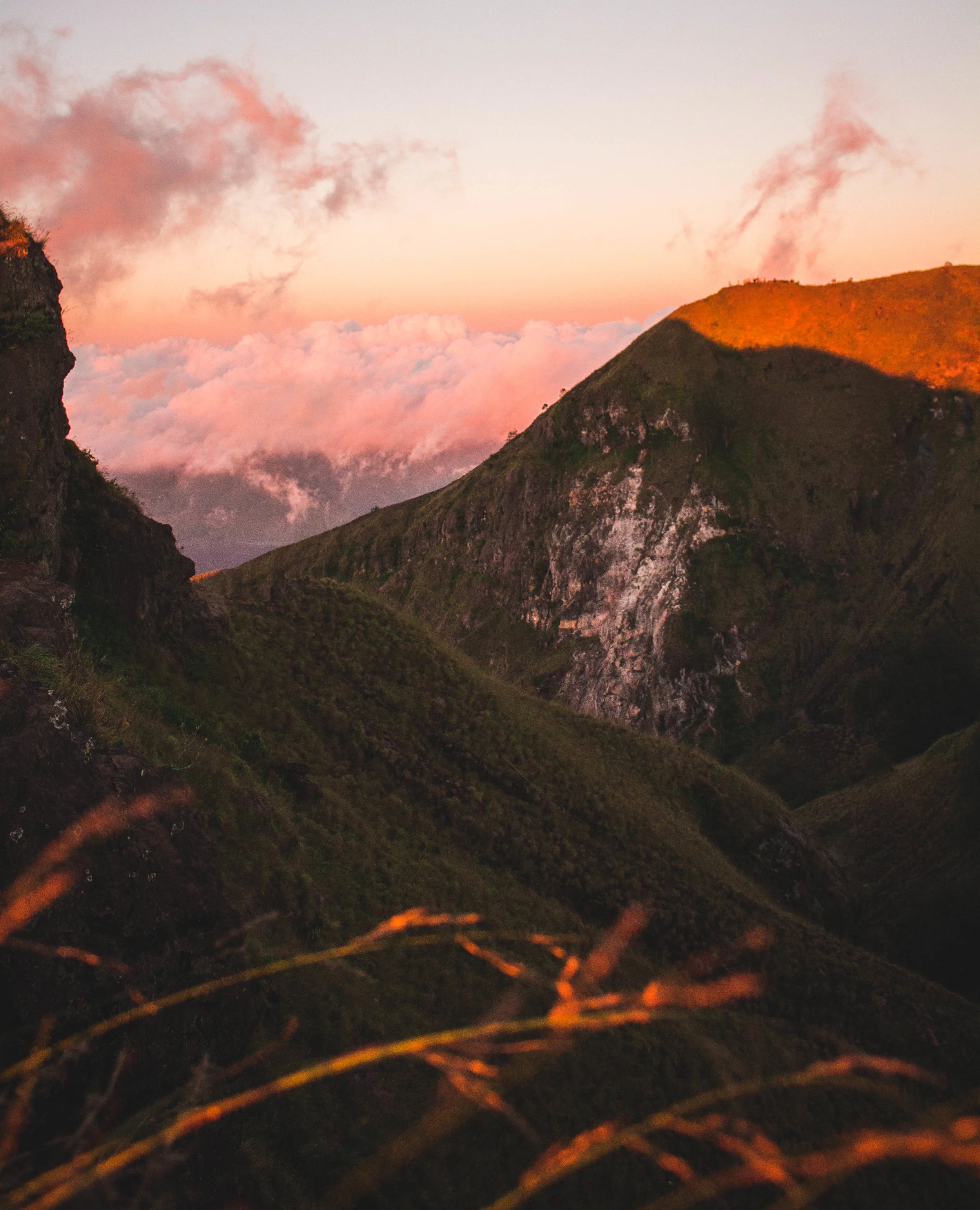 pic.jpg