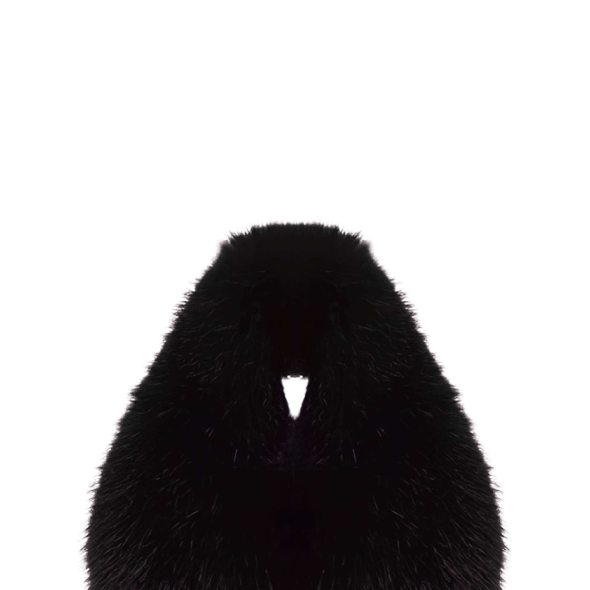 A C U T A  .png