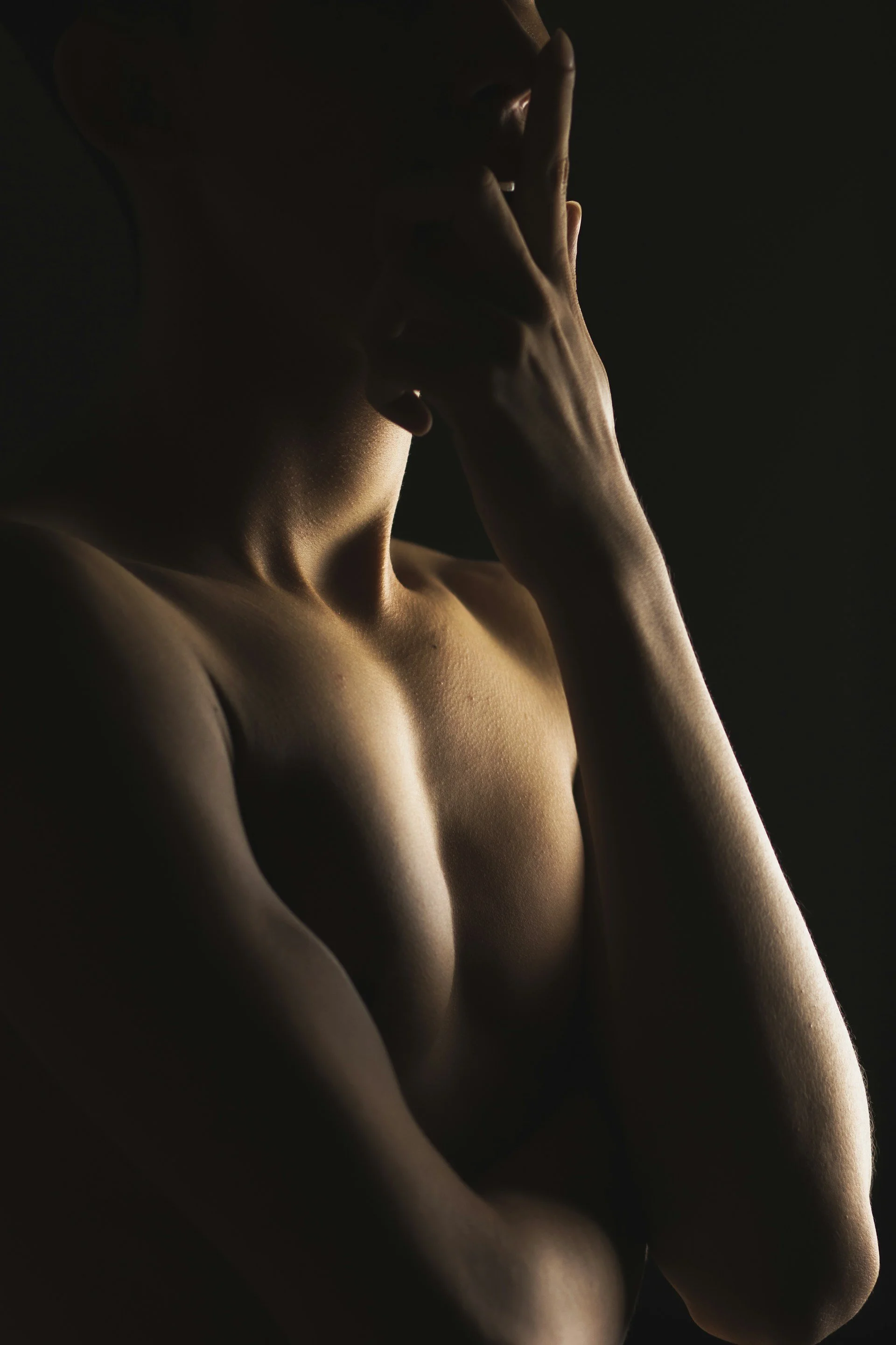 C O M P A N I O N.jpg