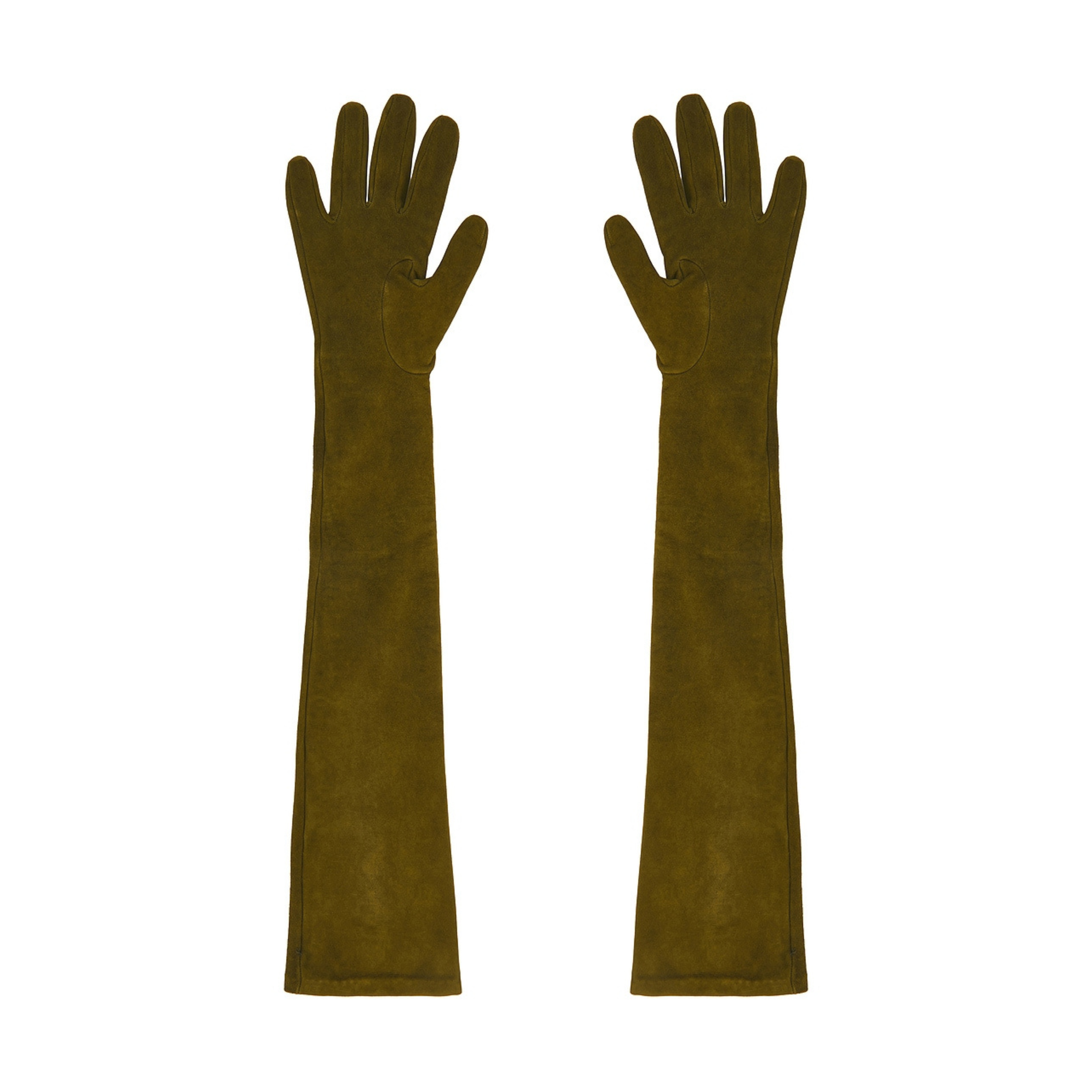 A N E T I T O.png