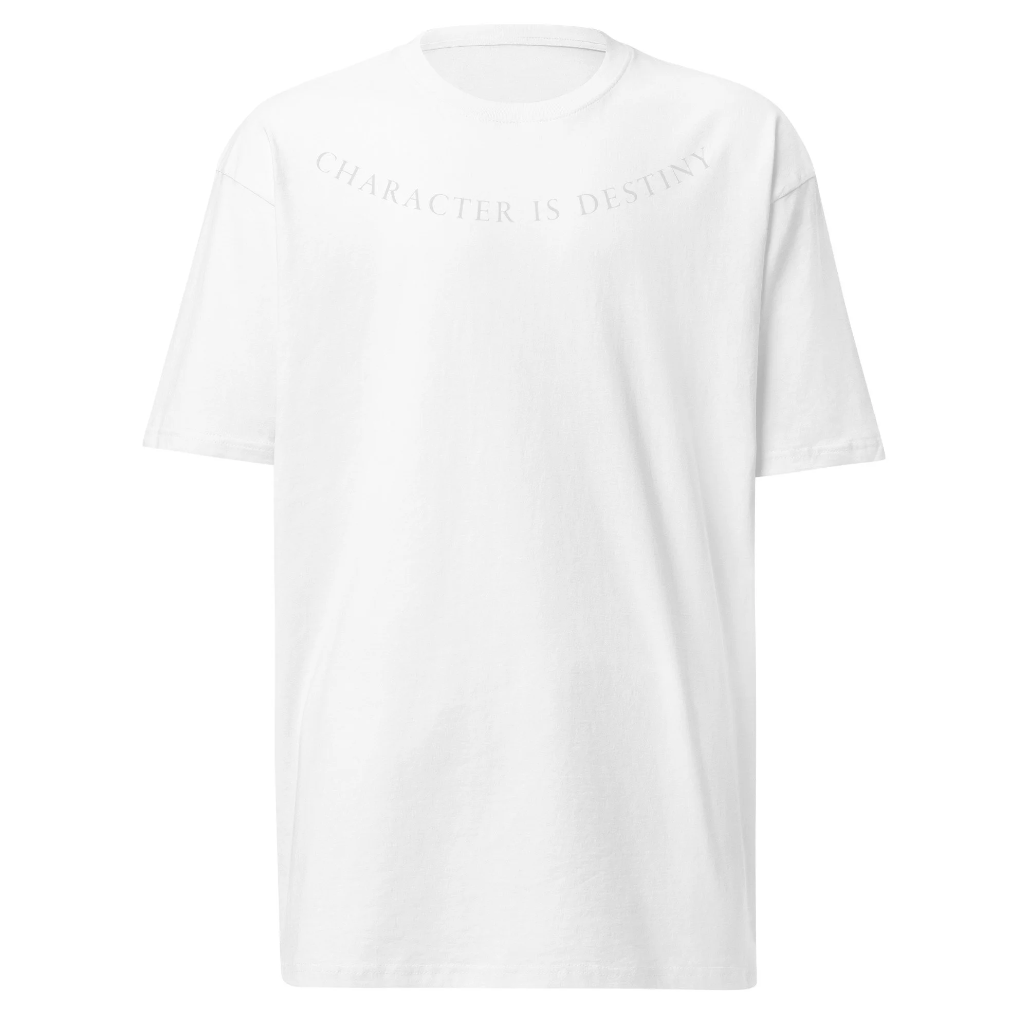 mens-premium-heavyweight-tee-white-front-689ddcb328e90.jpg