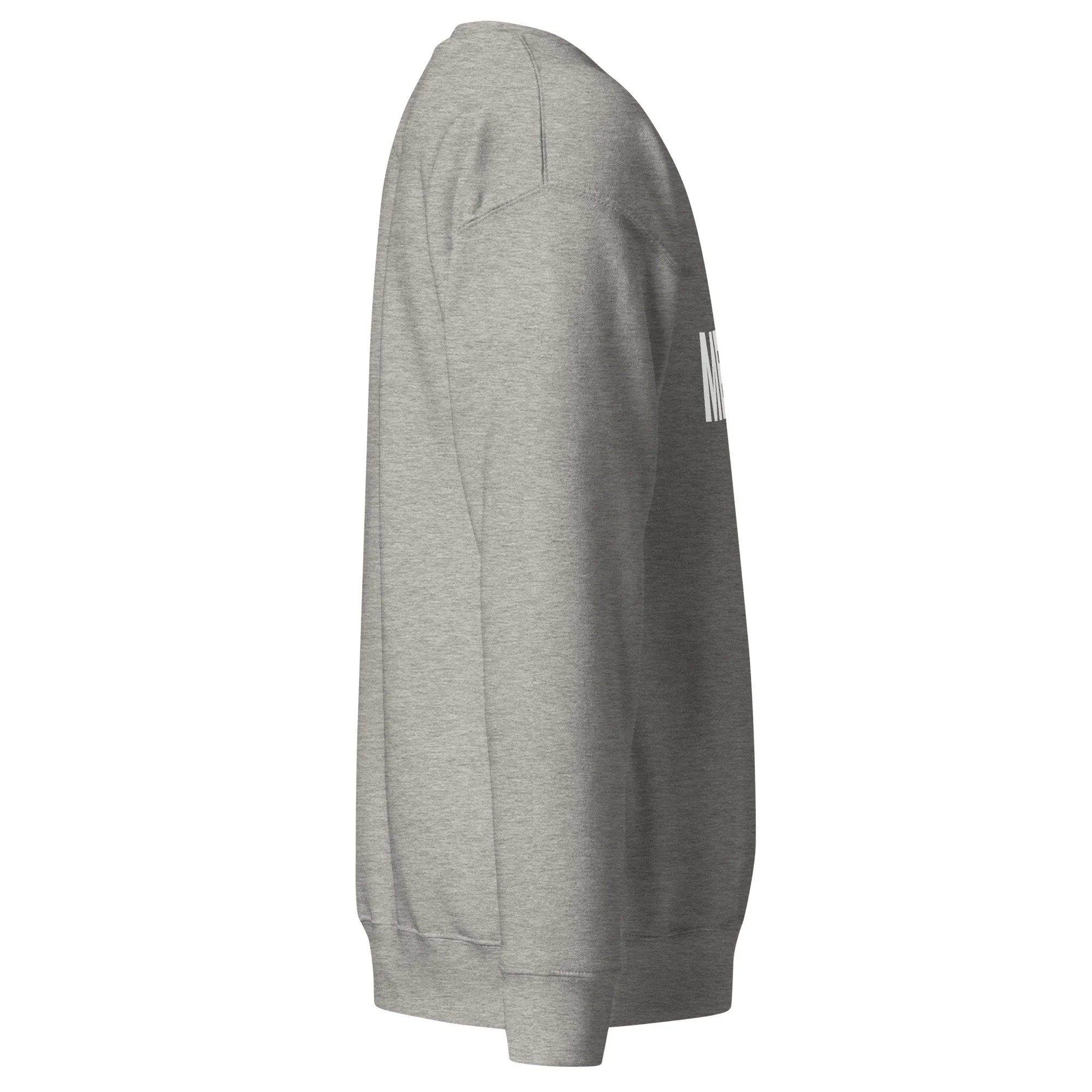 unisex-premium-sweatshirt-carbon-grey-right-68cfeff091483.jpg