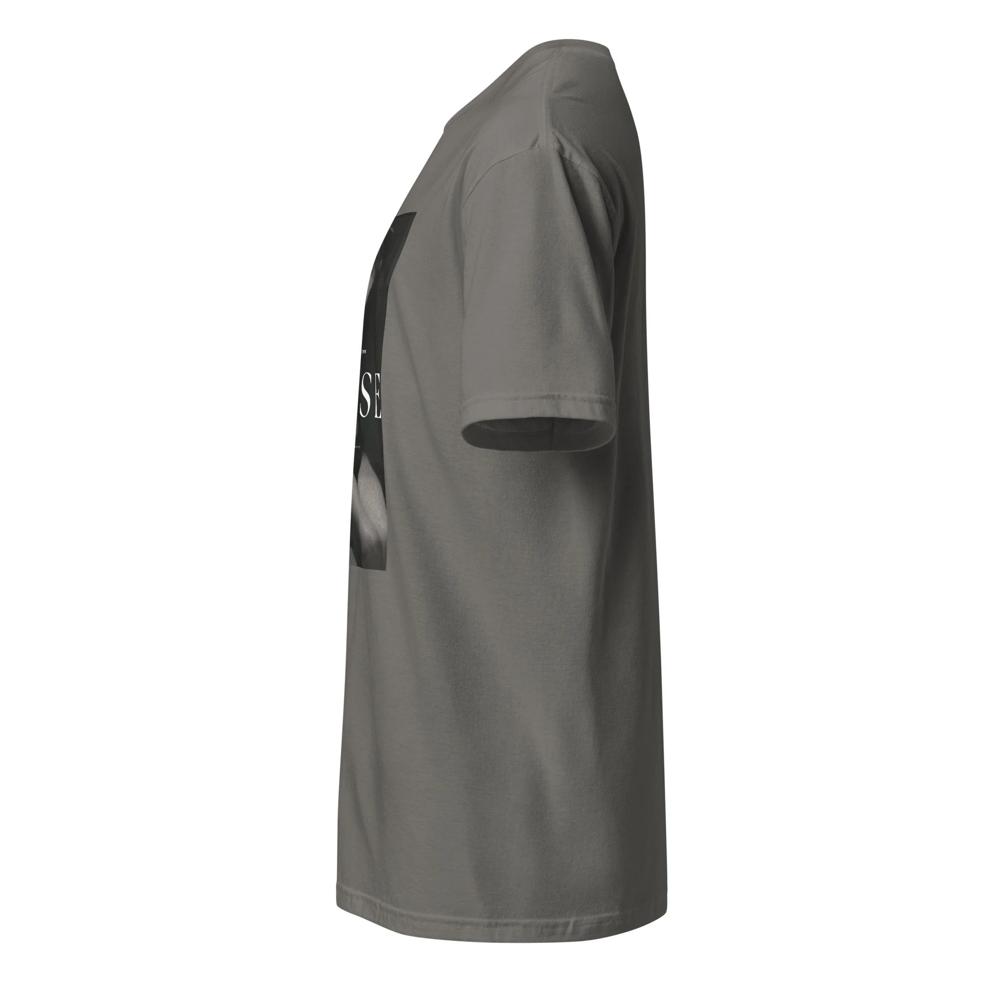 unisex-basic-softstyle-t-shirt-charcoal-left-6909854863f9f.jpg