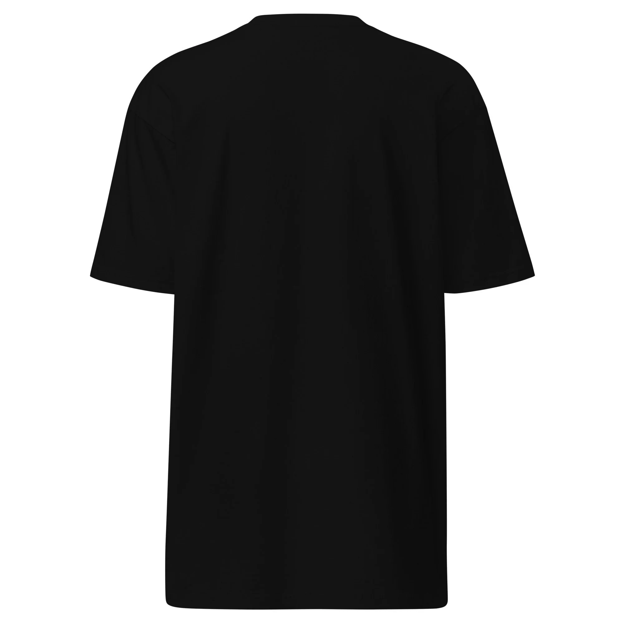 mens-premium-heavyweight-tee-black-back-6909f9806f67a.jpg