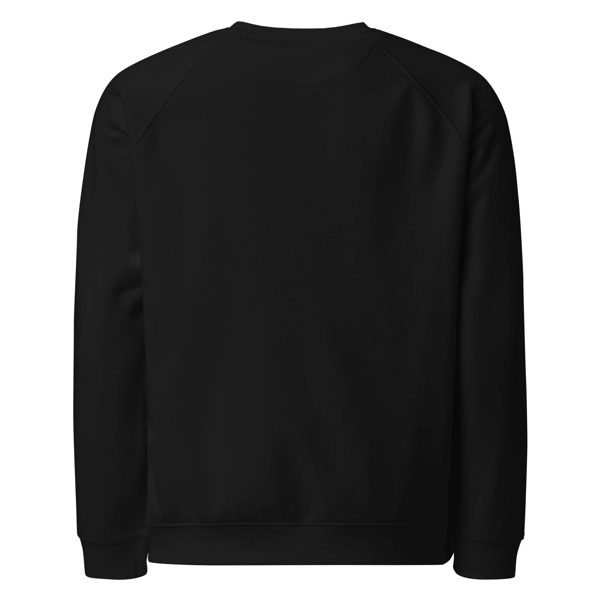 unisex-organic-raglan-sweatshirt-black-back-6a170c2d9eccb.jpg