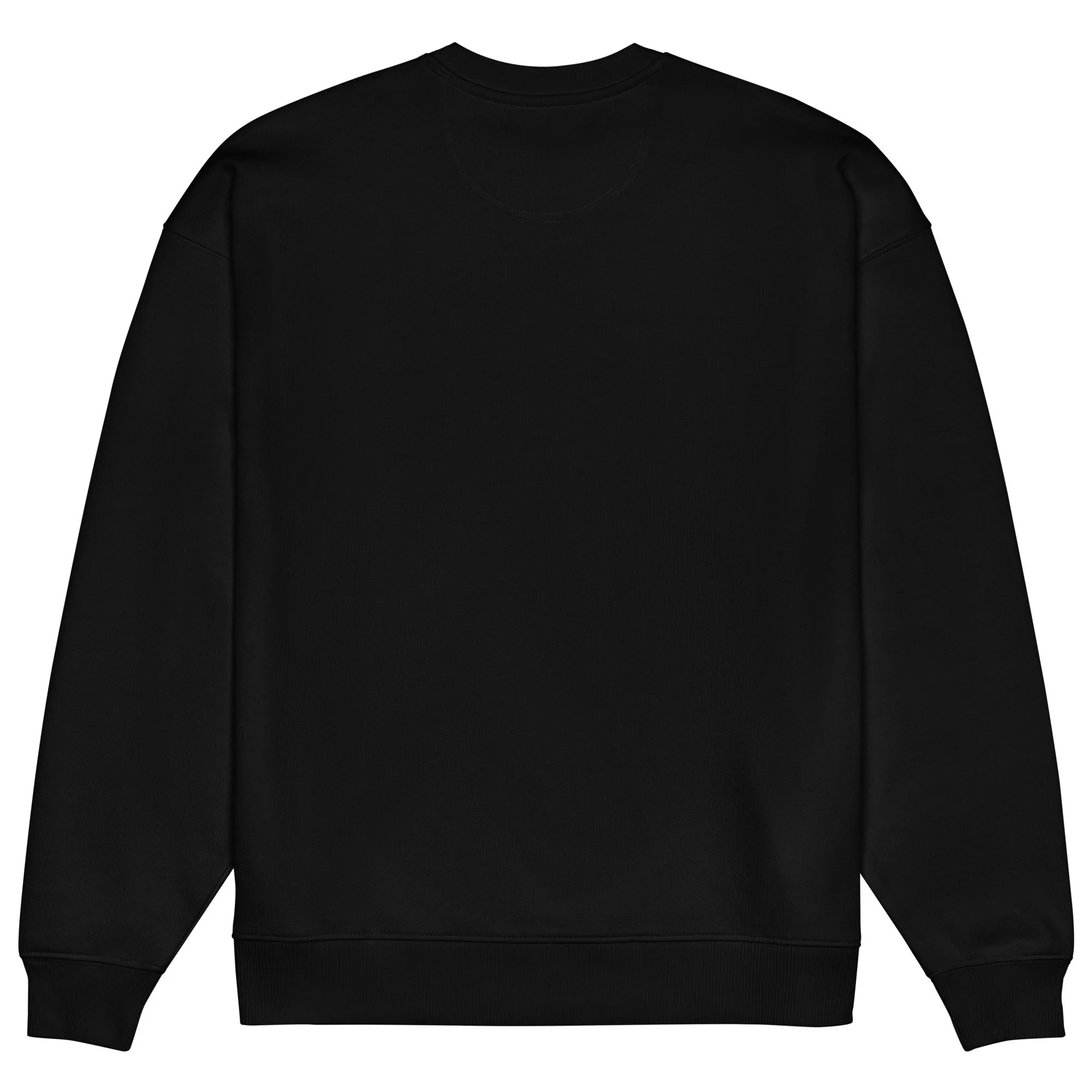 unisex-organic-oversized-raddler-2.0-sweatshirt-black-back-6a867dfe50898.jpg