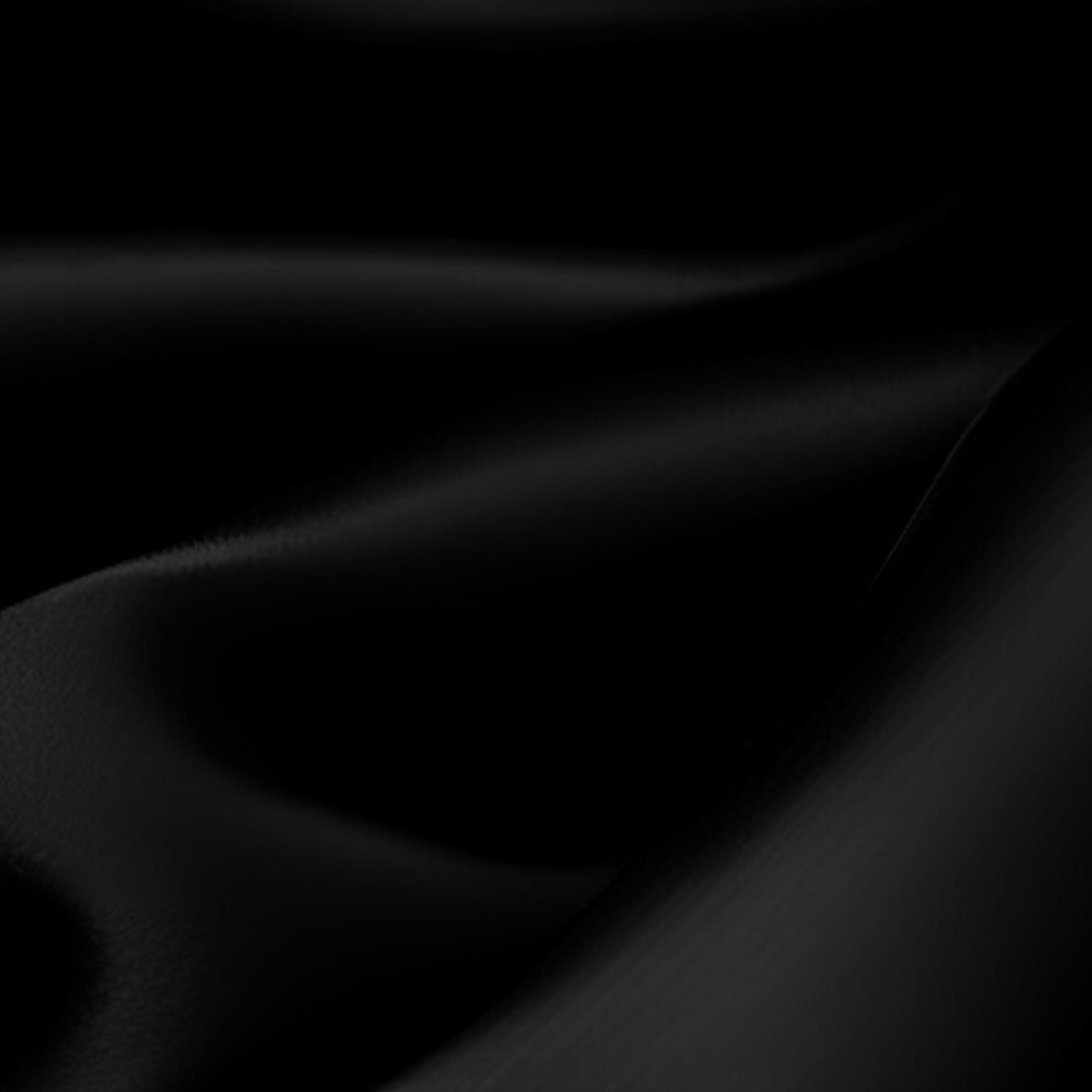 A R I A N D A      .png