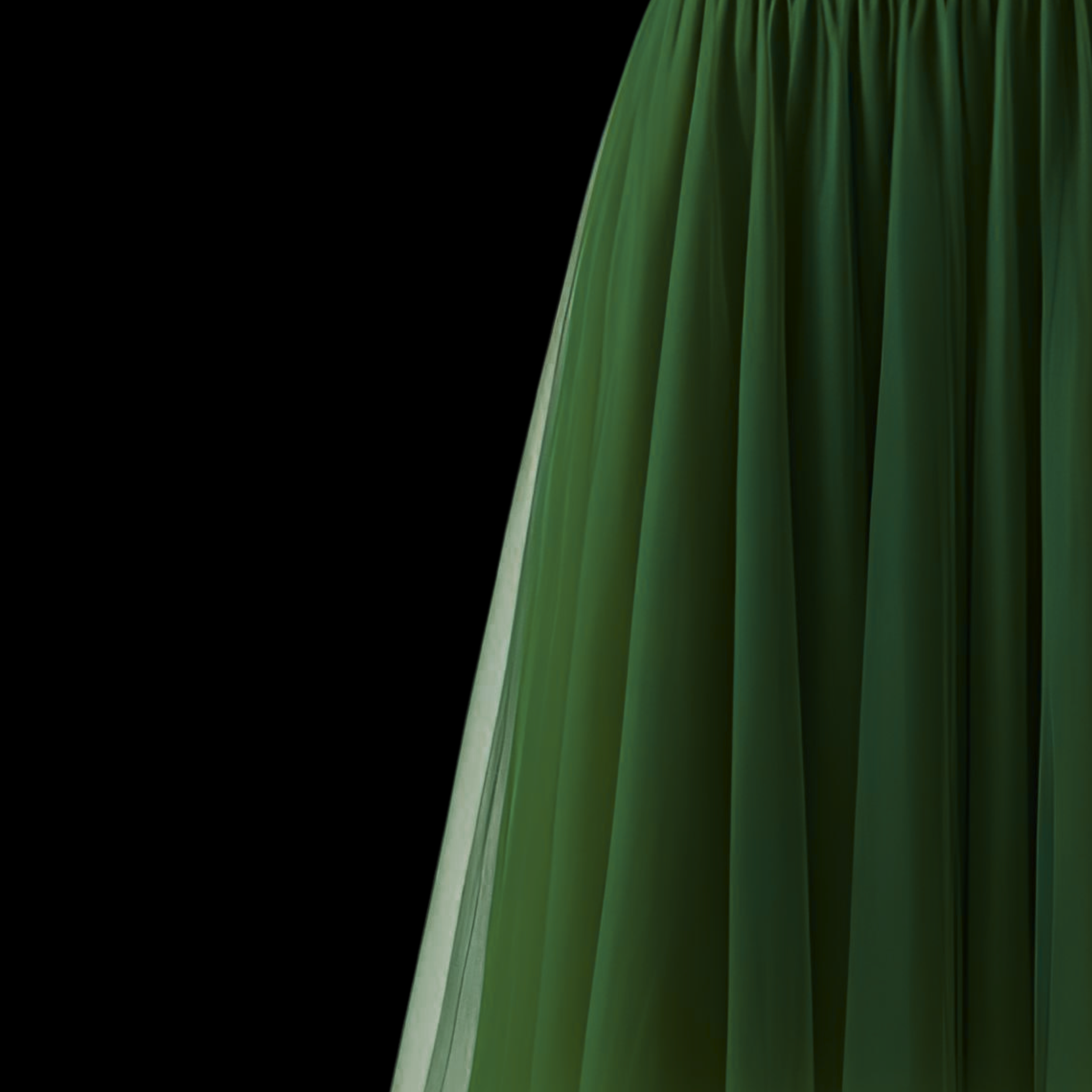 A I N E R A         .png