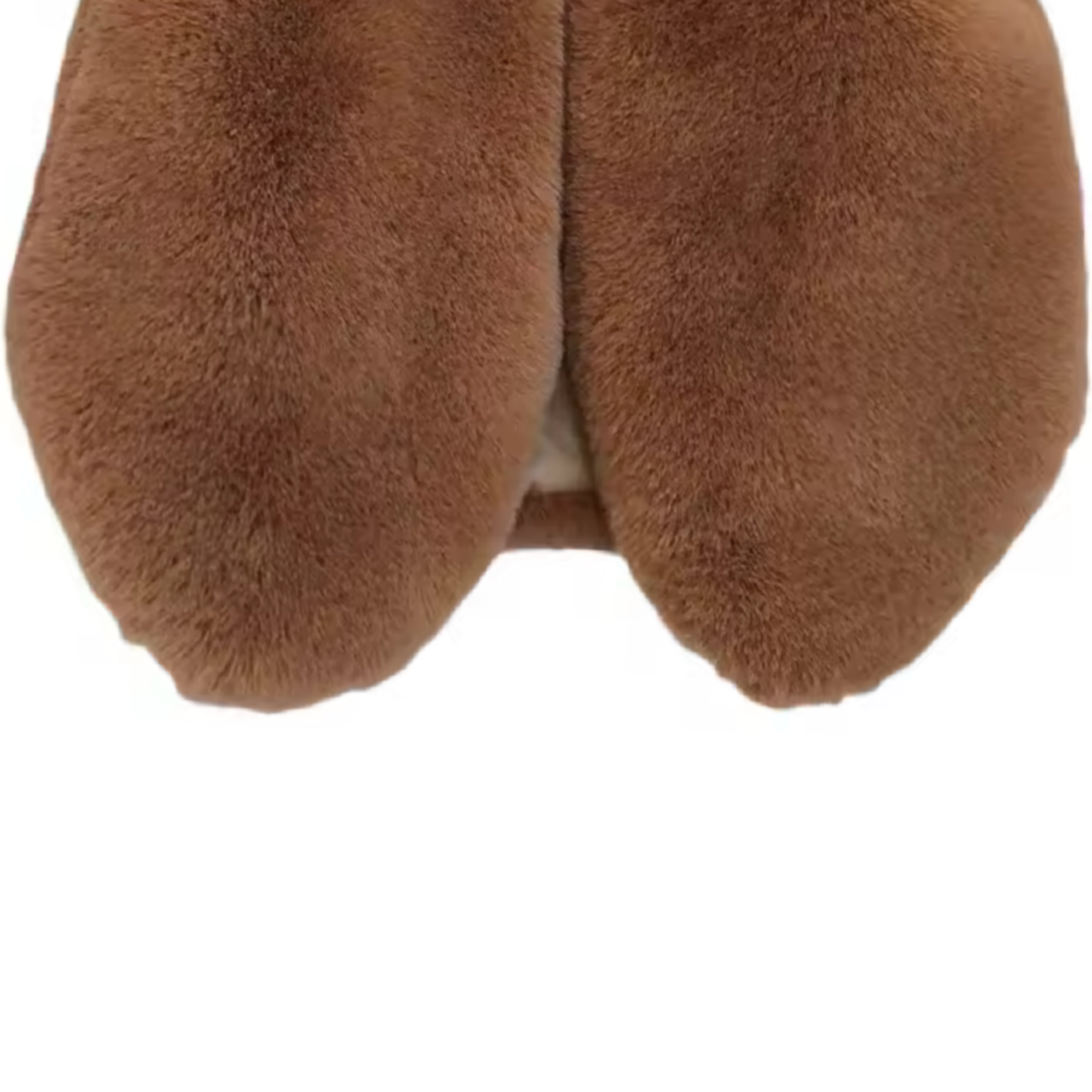 A L H O V A .png