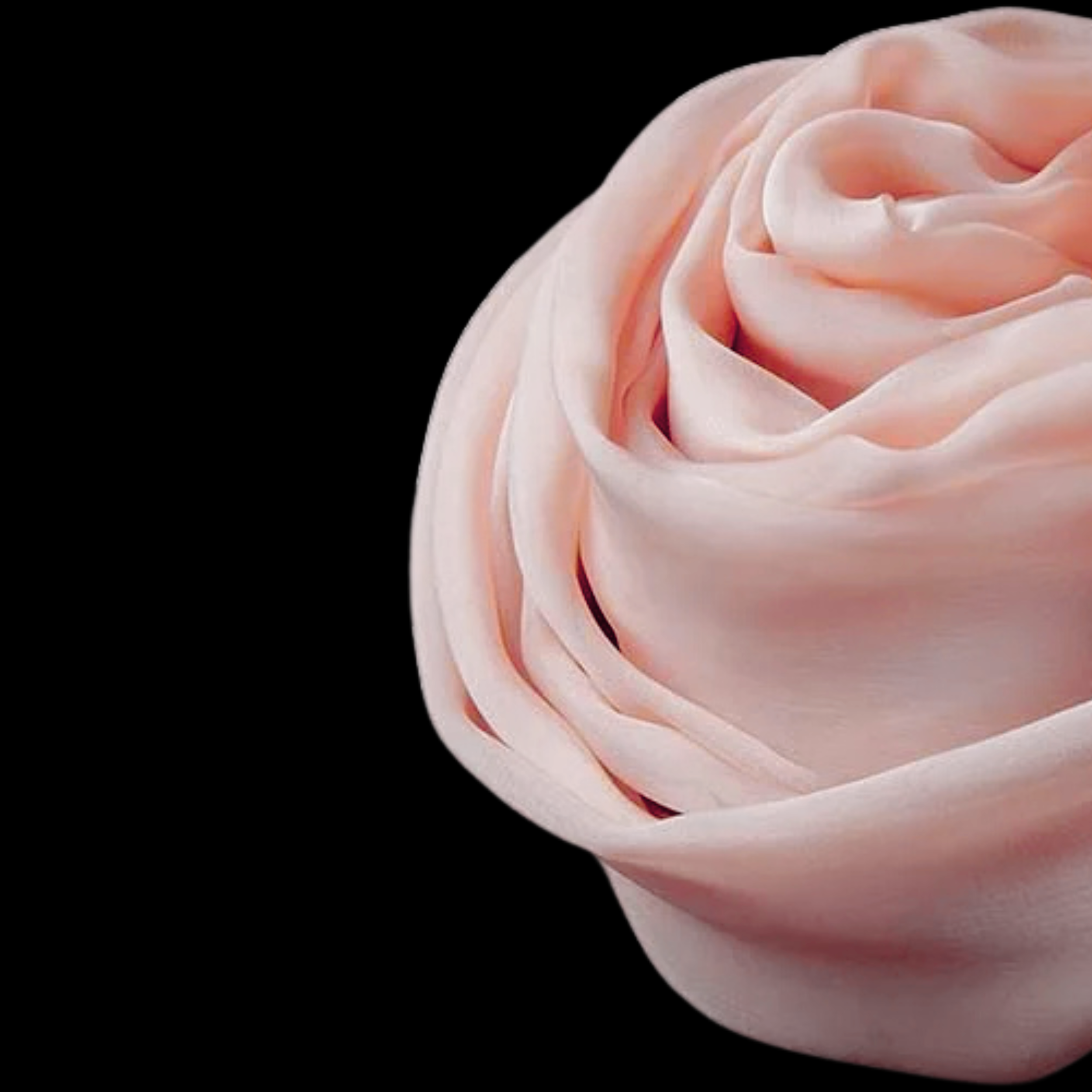 A N I J U L I A .png