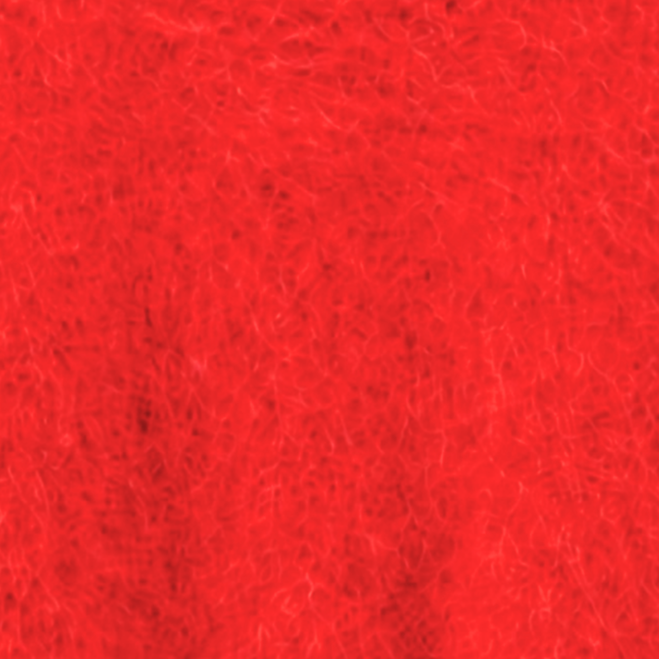 A I R O T .png