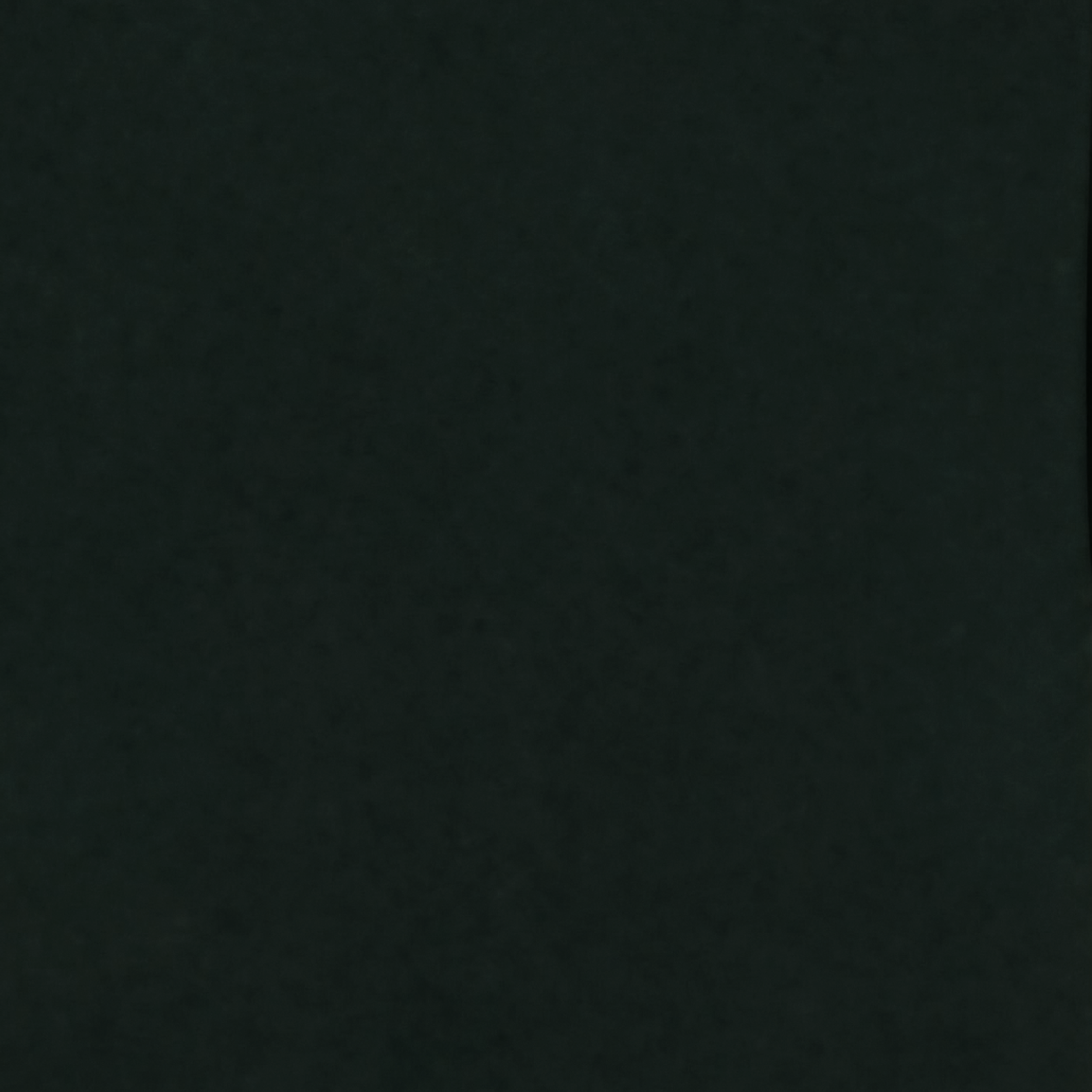 A R S M U S.png
