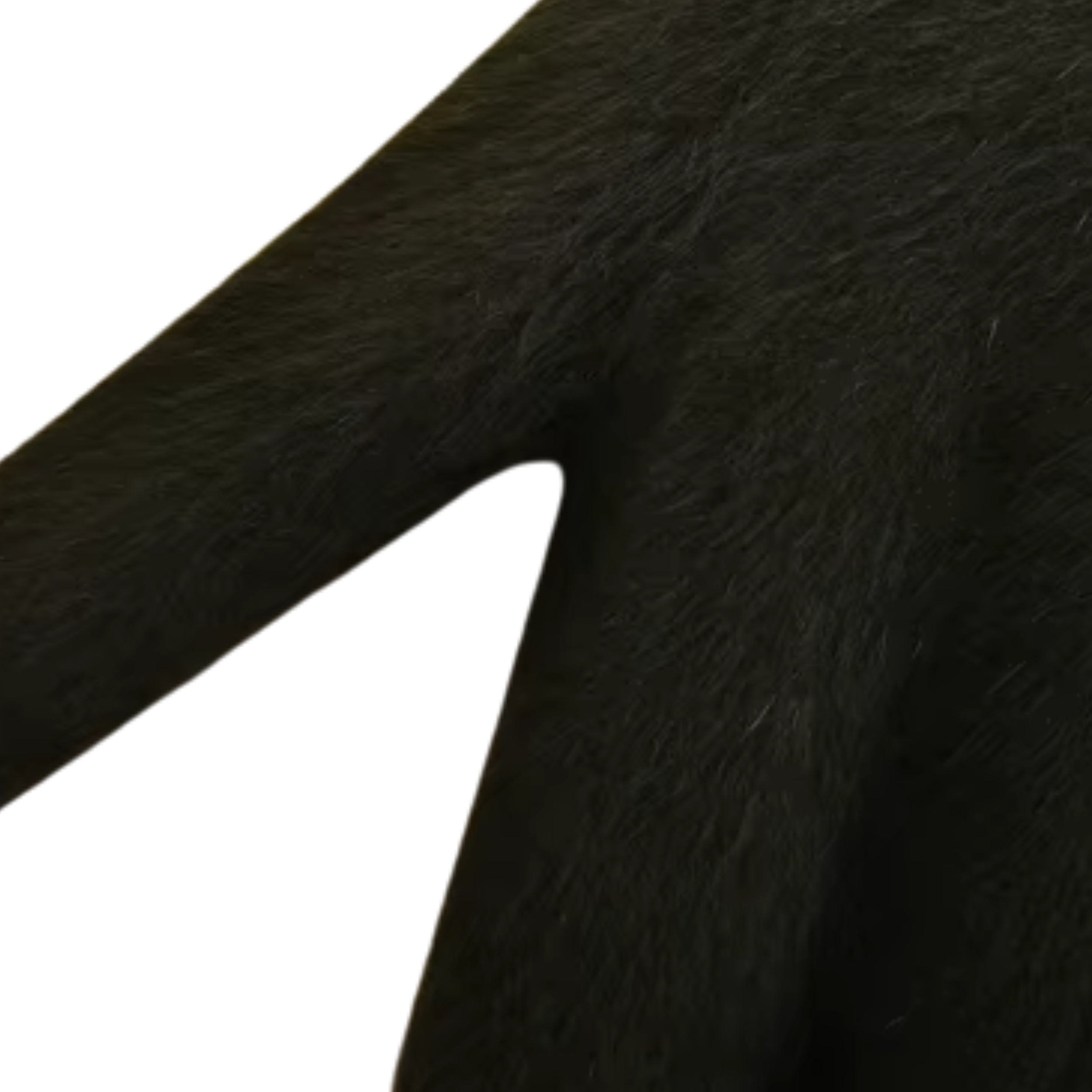 A E N A R I      .png