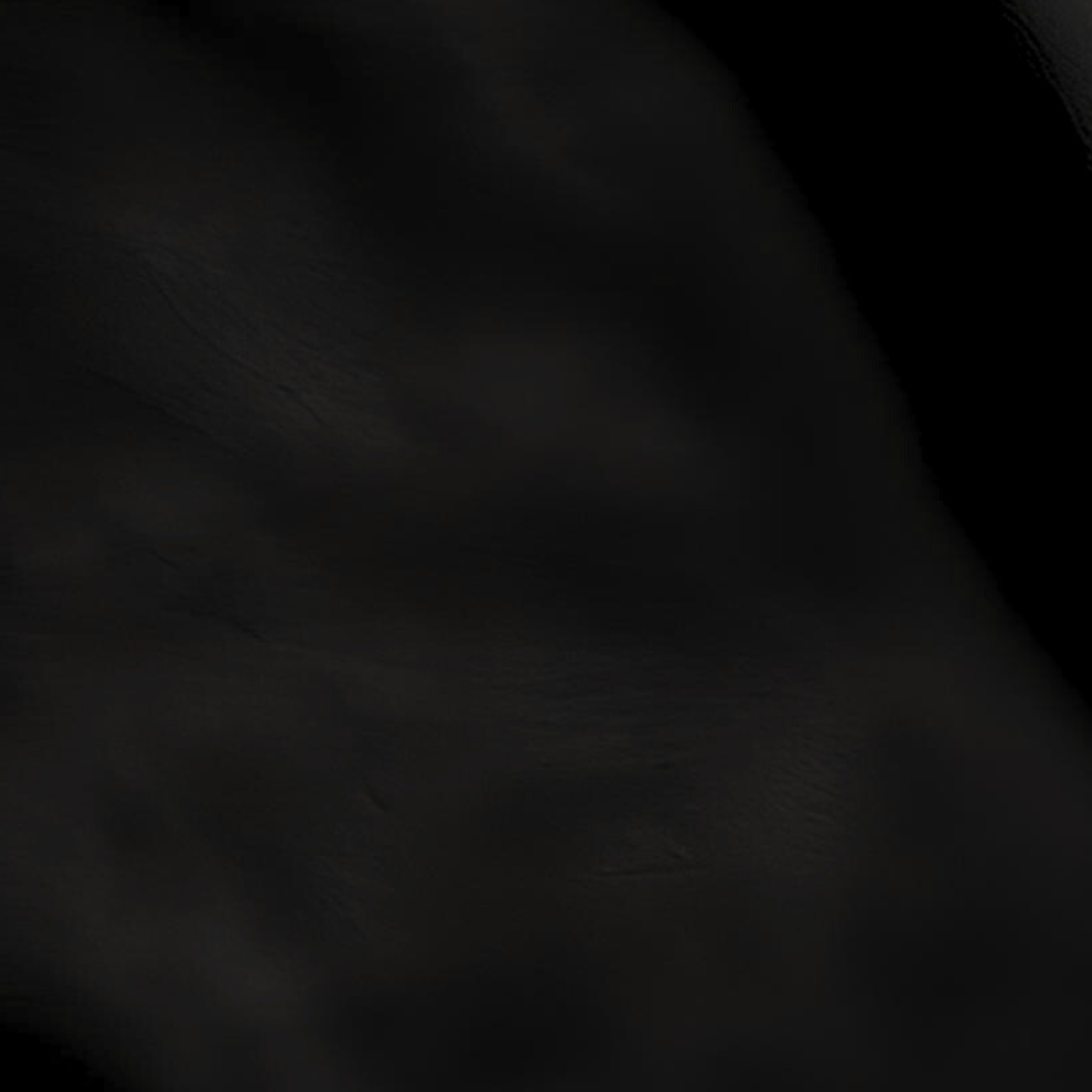 A L B E R I N I .png